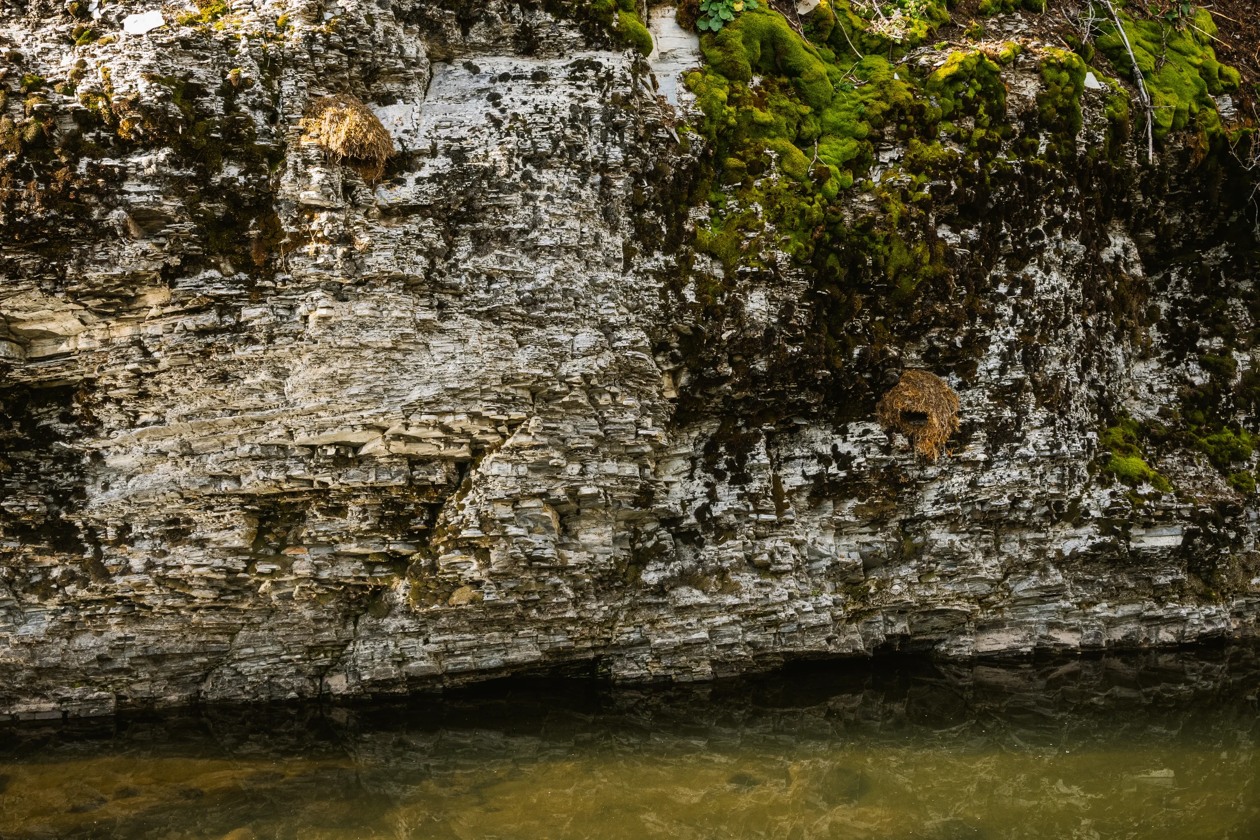 moss covered rock wall