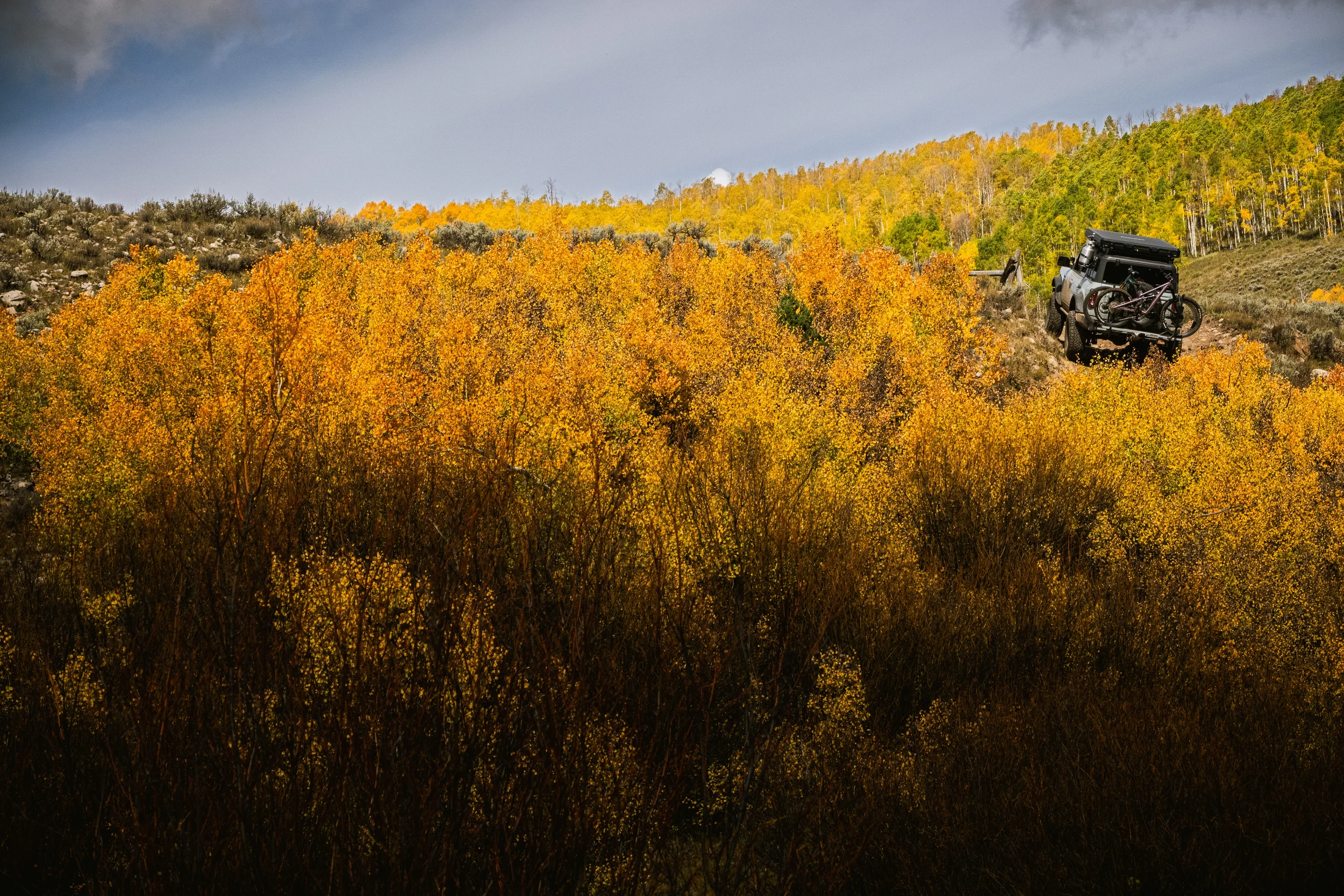 ford bronco driving through aspens