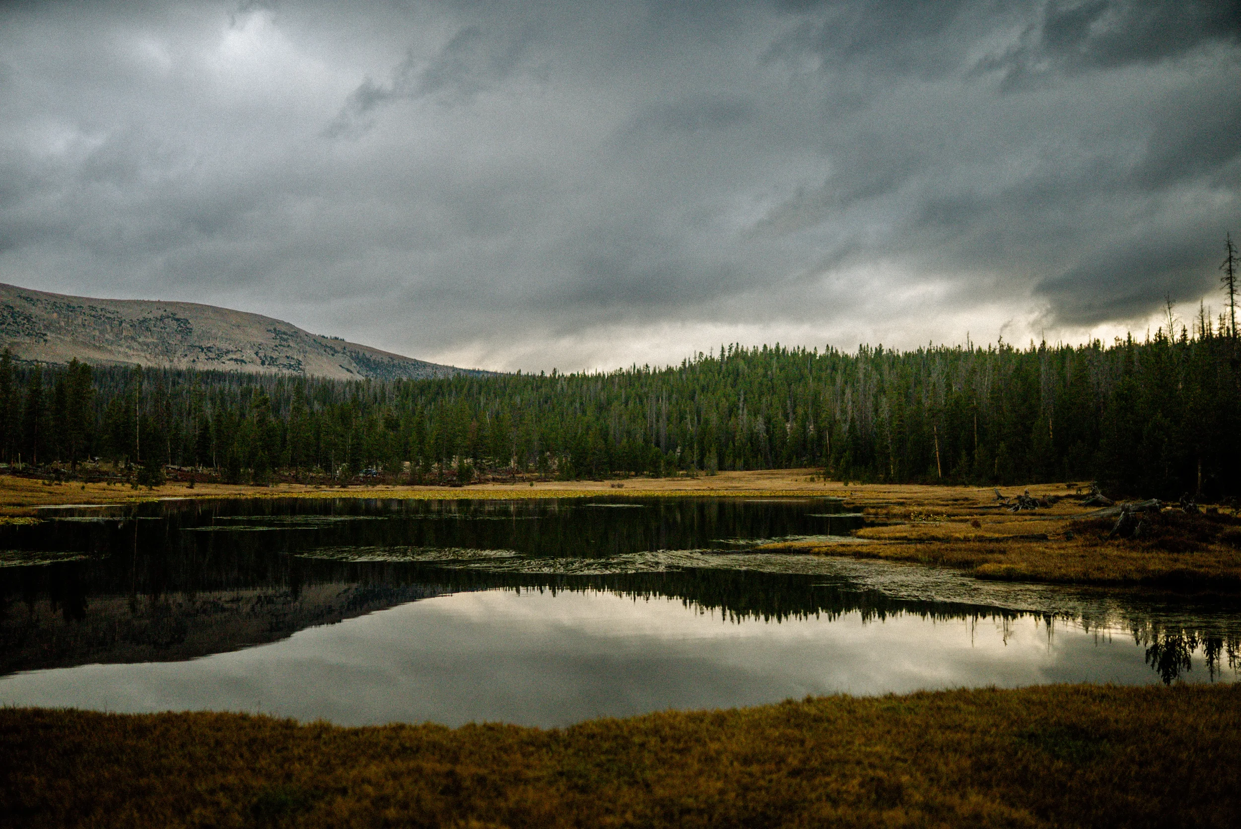 trident lake