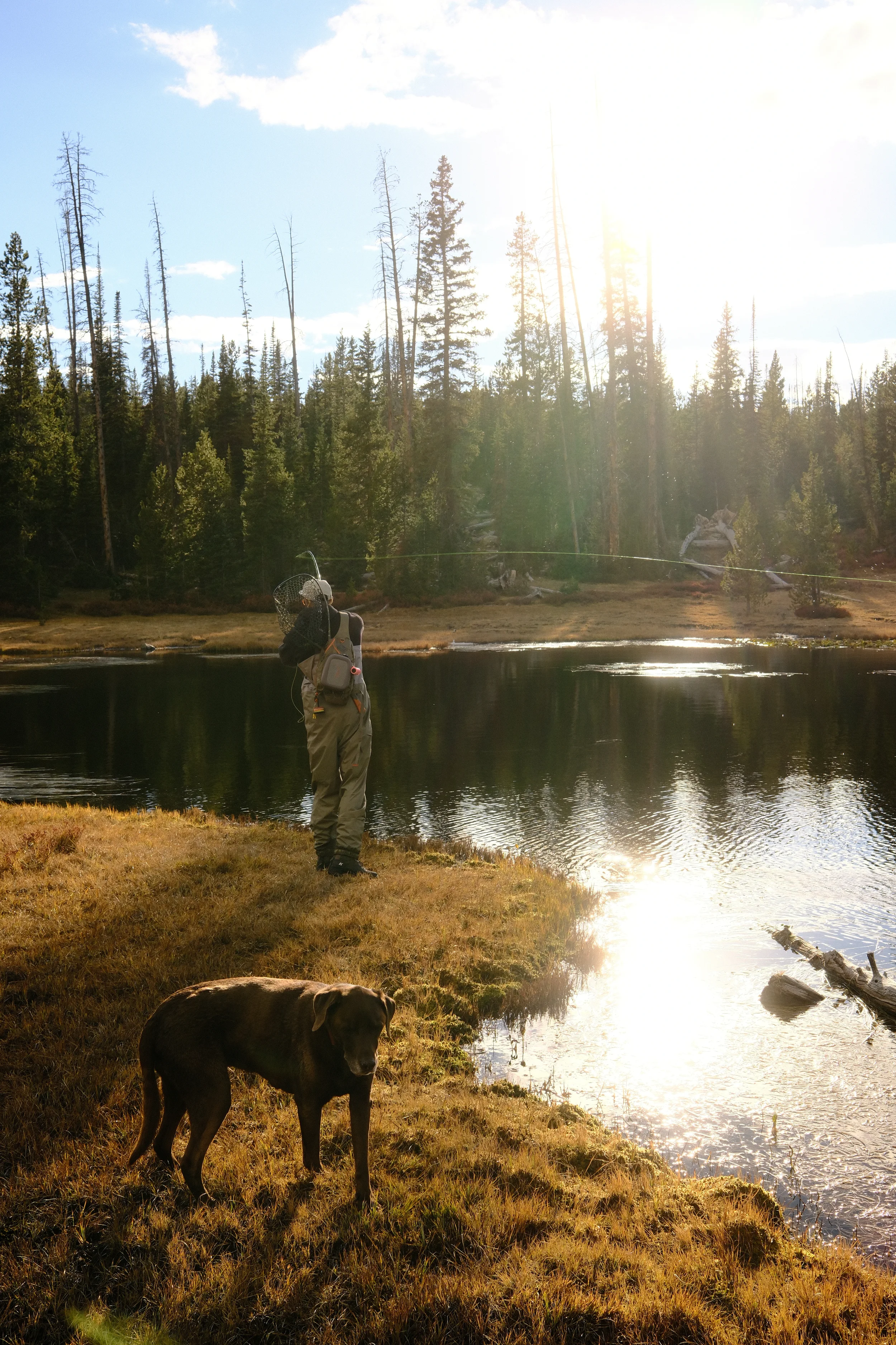 man and dog fishing