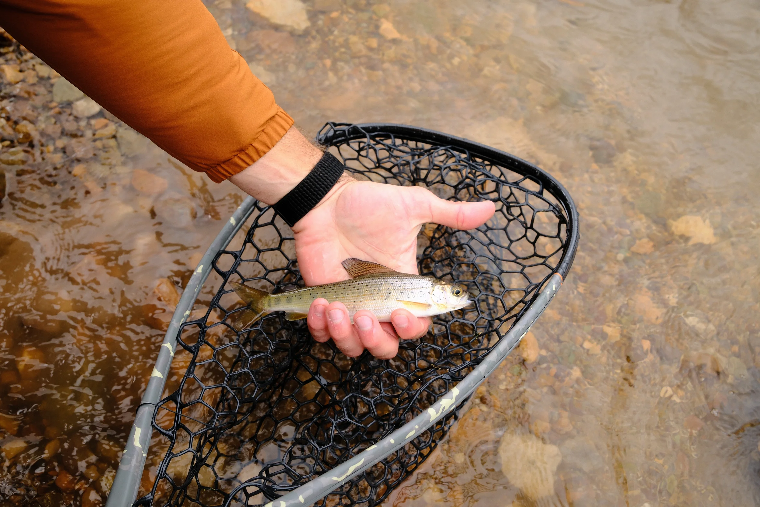 man holding an arctic grayling