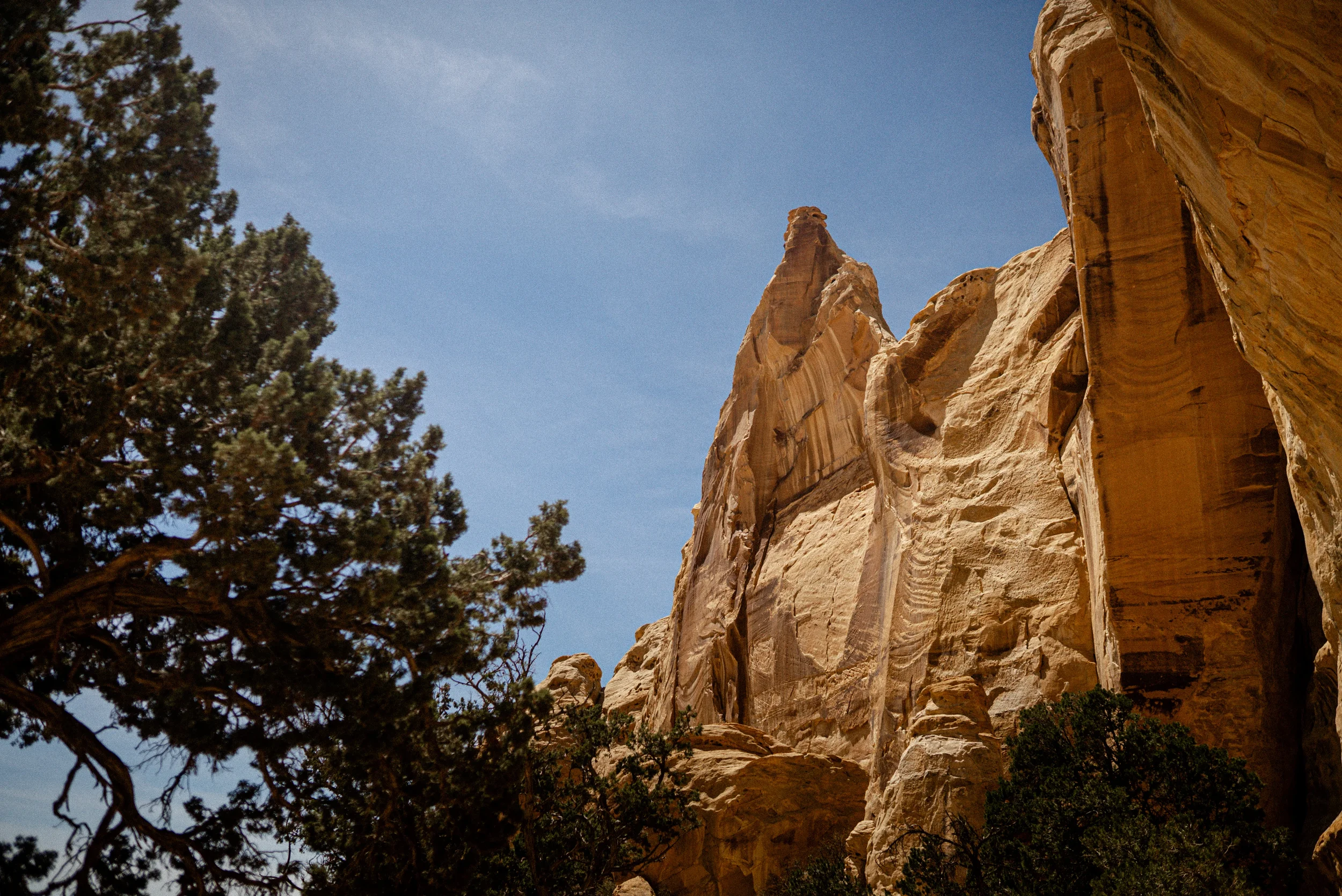 sandstone cliff sinbad valley utah