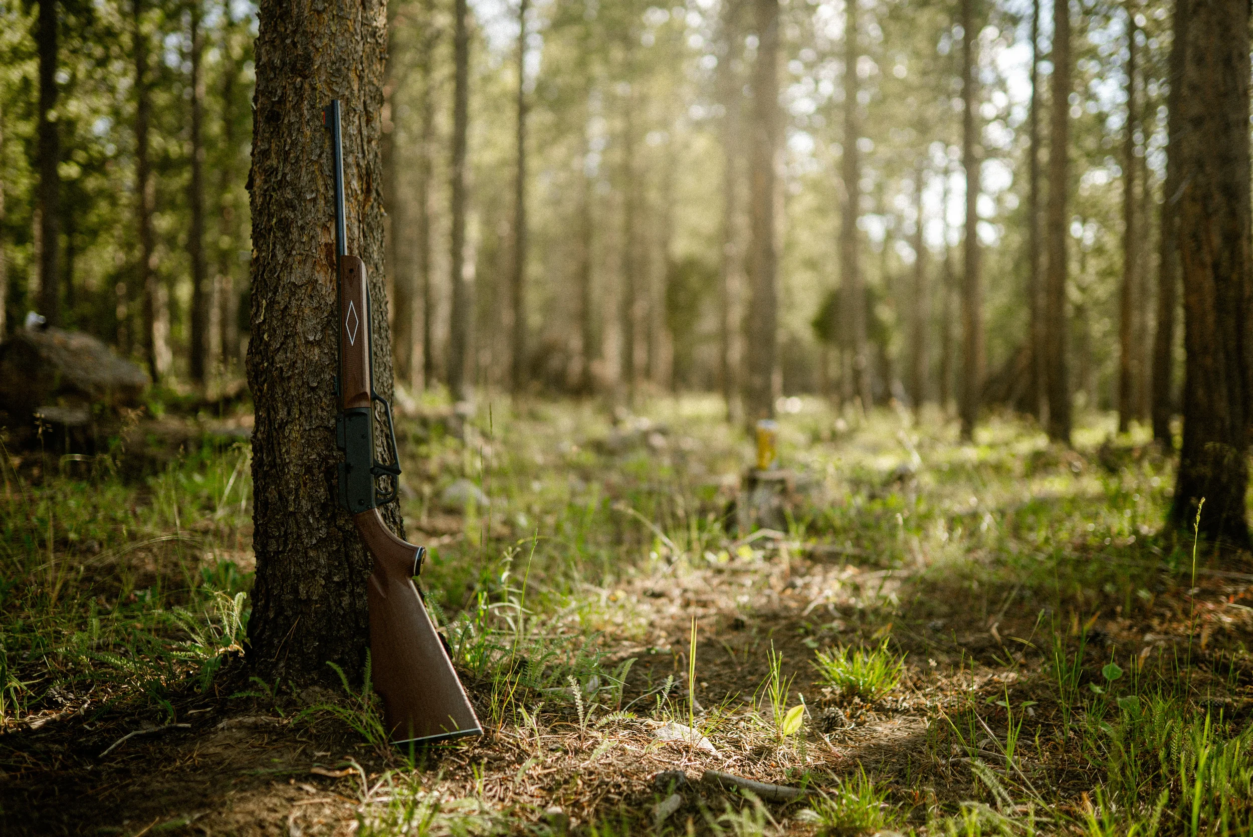bb gun leaning against a tree