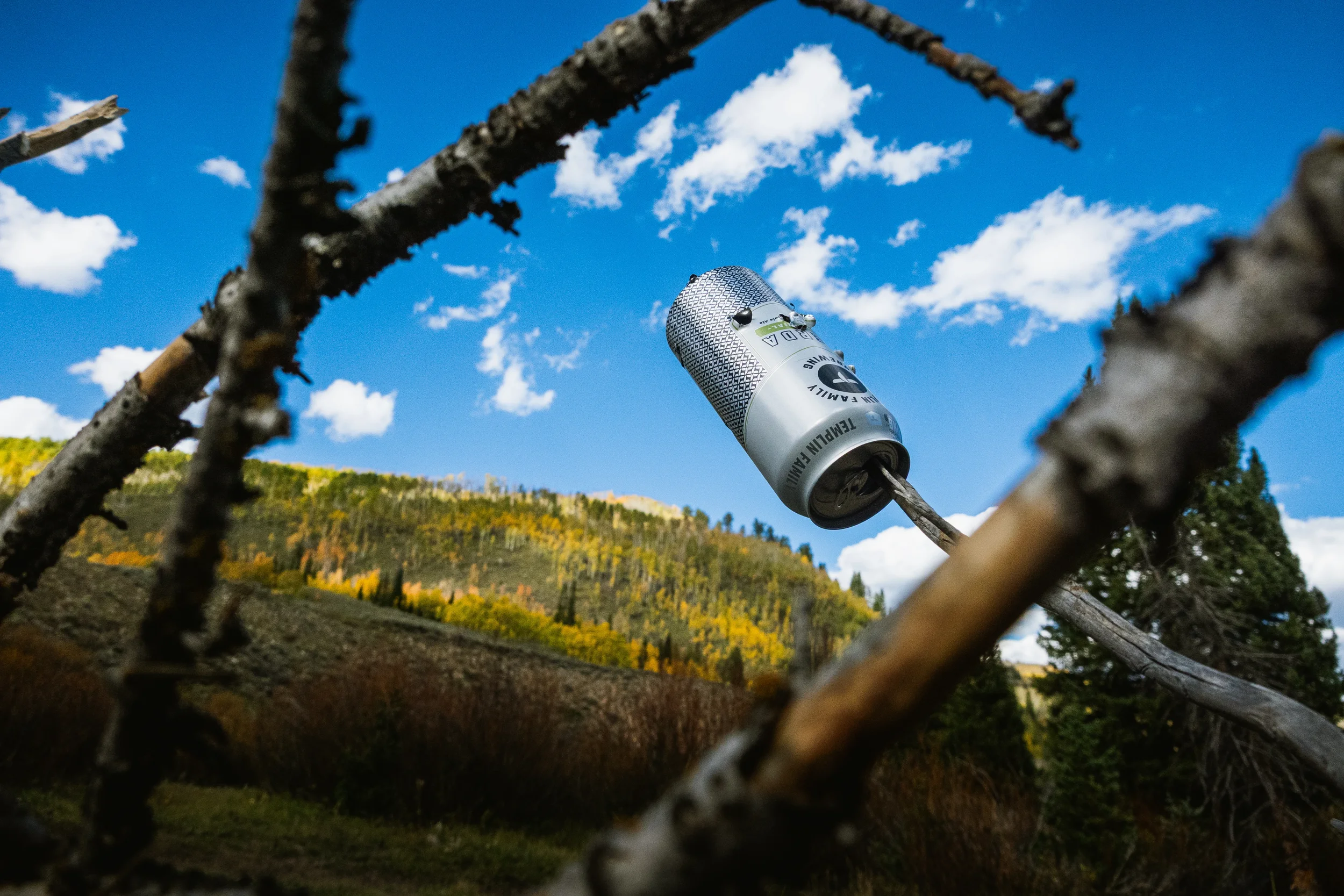 beer can with bb gun holes