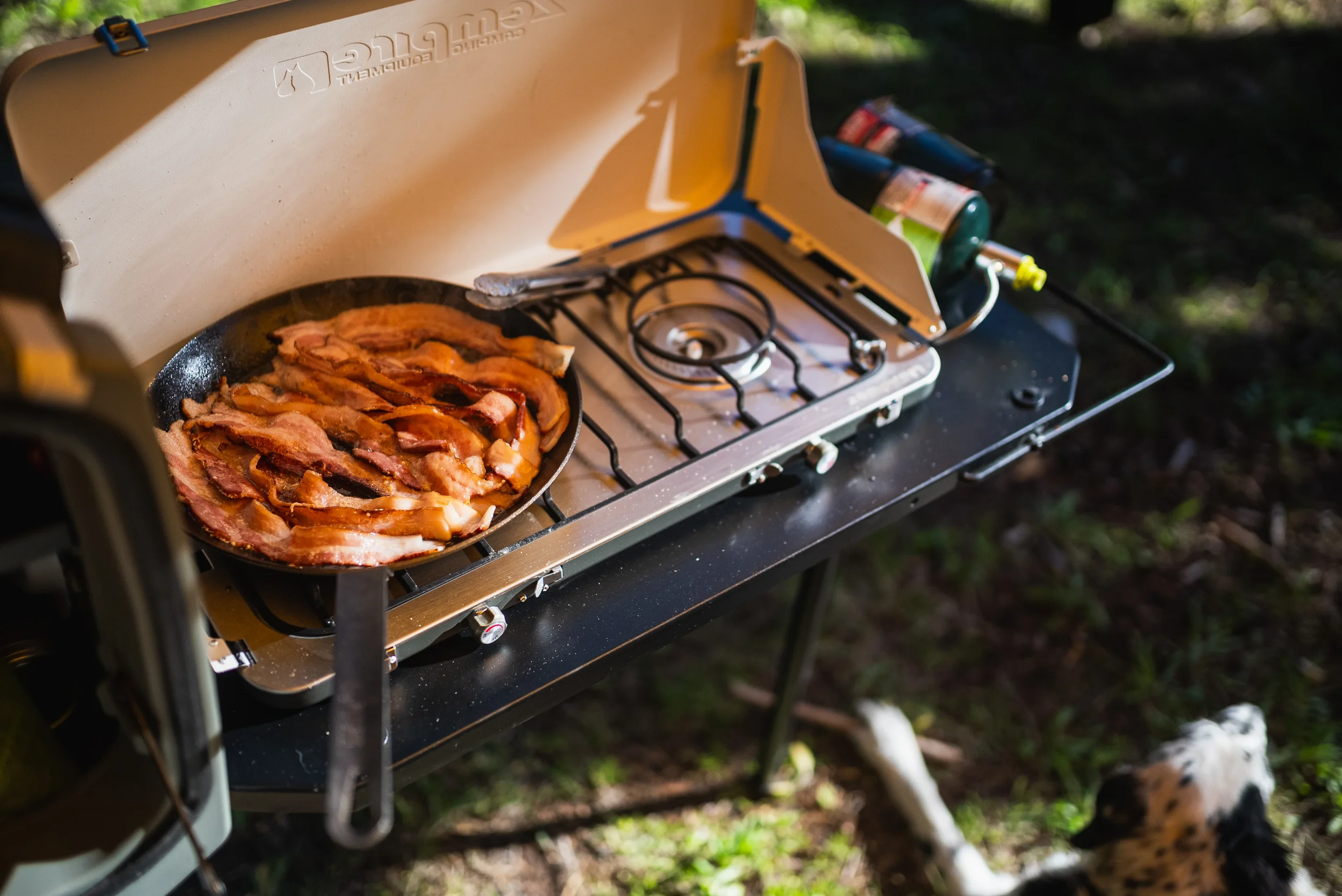 bacon cooking on a camp stove