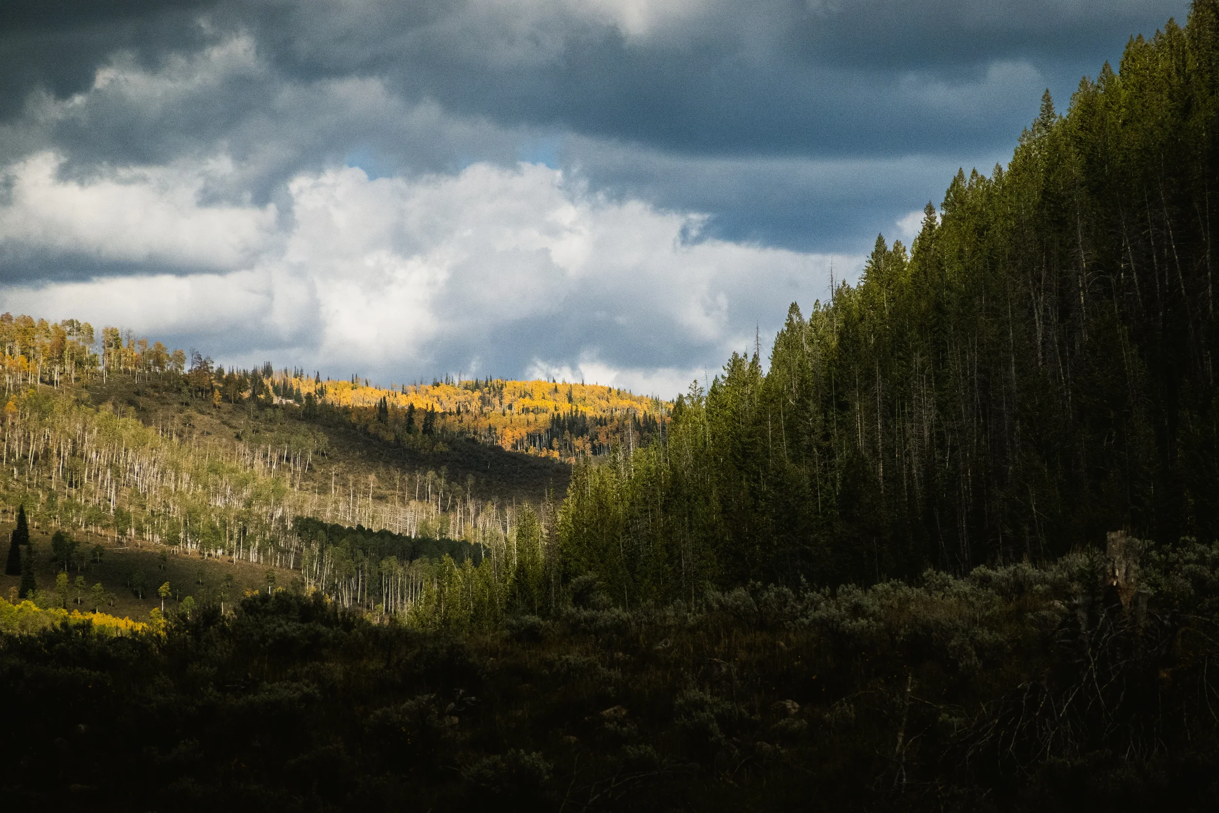 west fork duchesne river valley