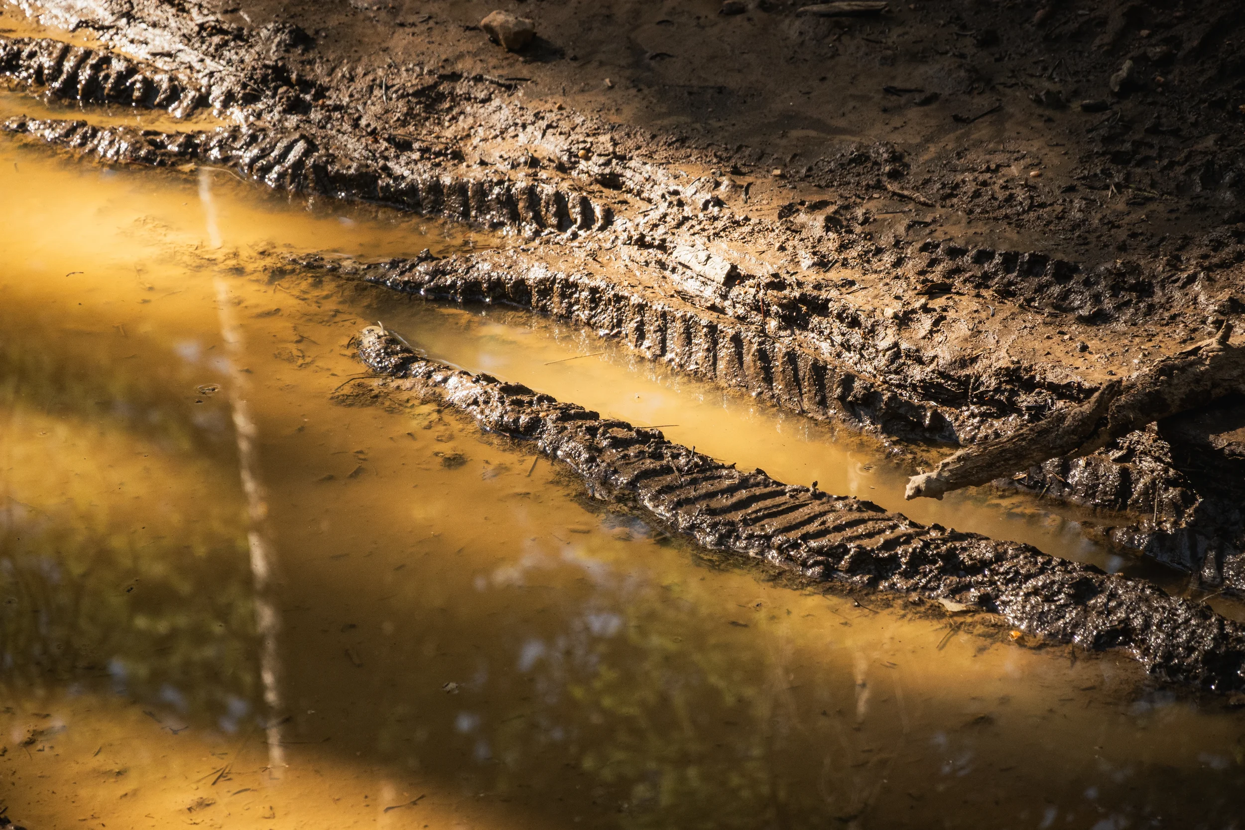 muddy puddle