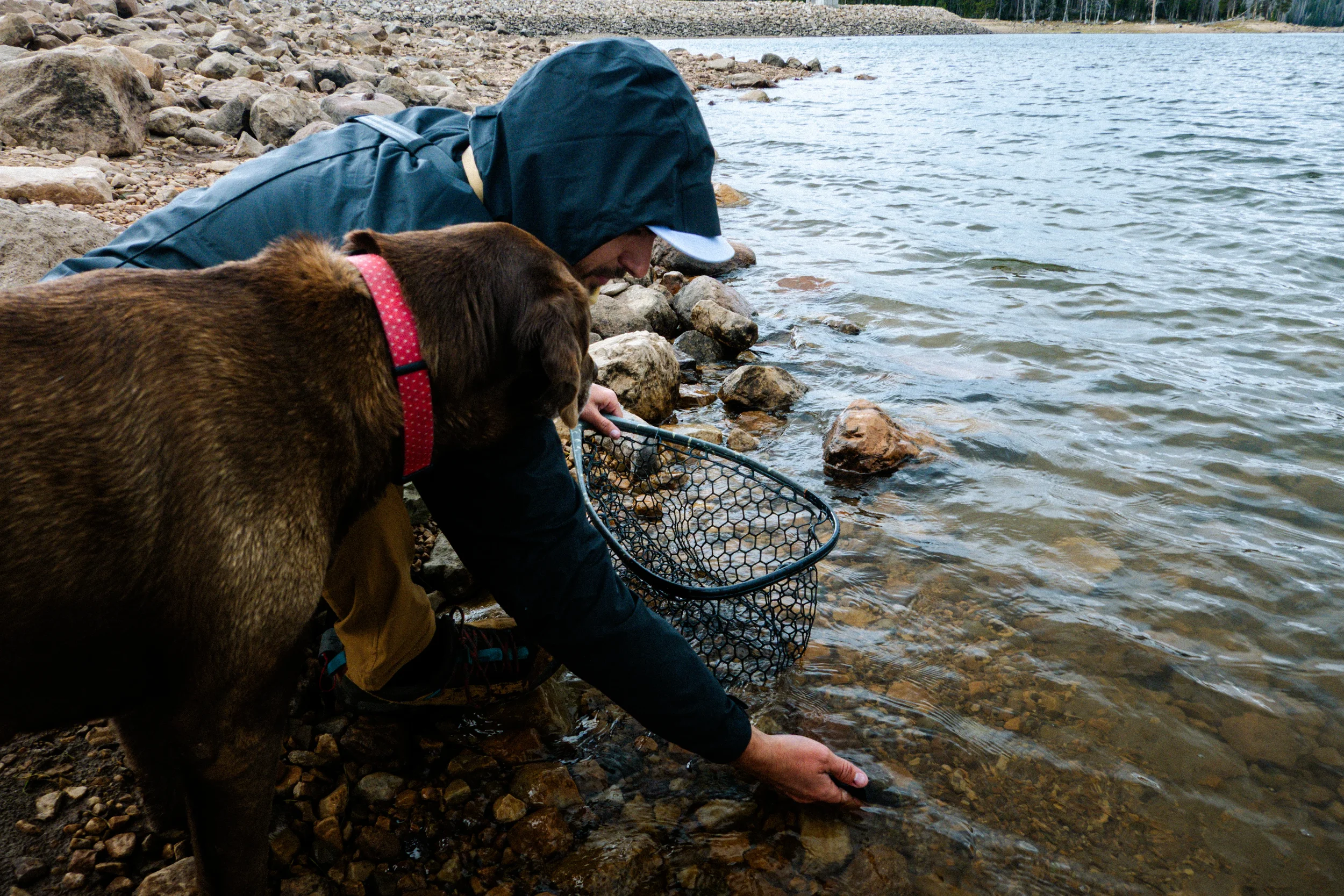 man with his dog watching him release a fish