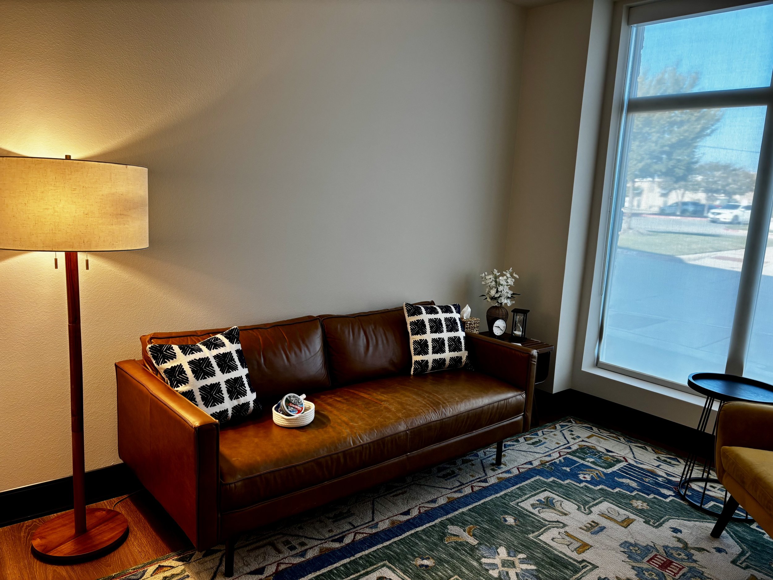 Cozy couch where the client sits during depth-oriented psychodynamic psychotherapy in Bryan-College Station, Texas