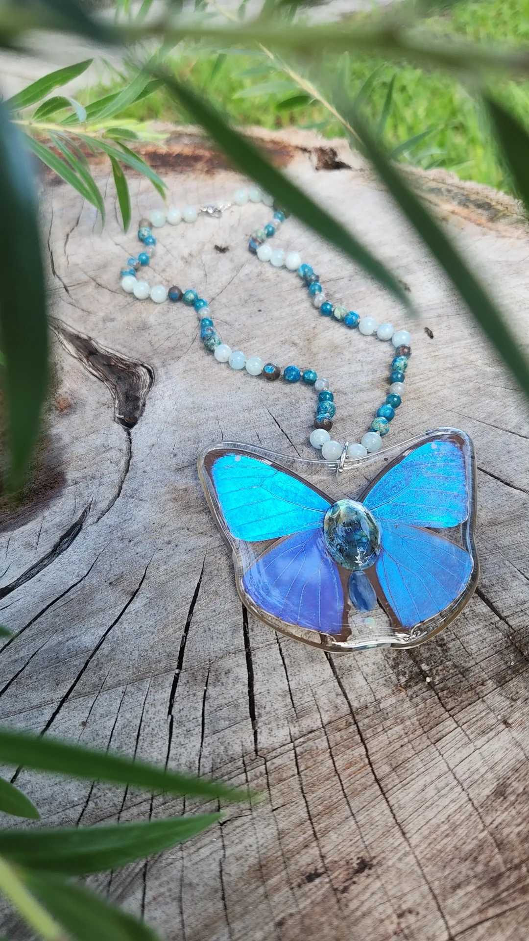 Eclectic Collectics Blue Morpho Mala Collab