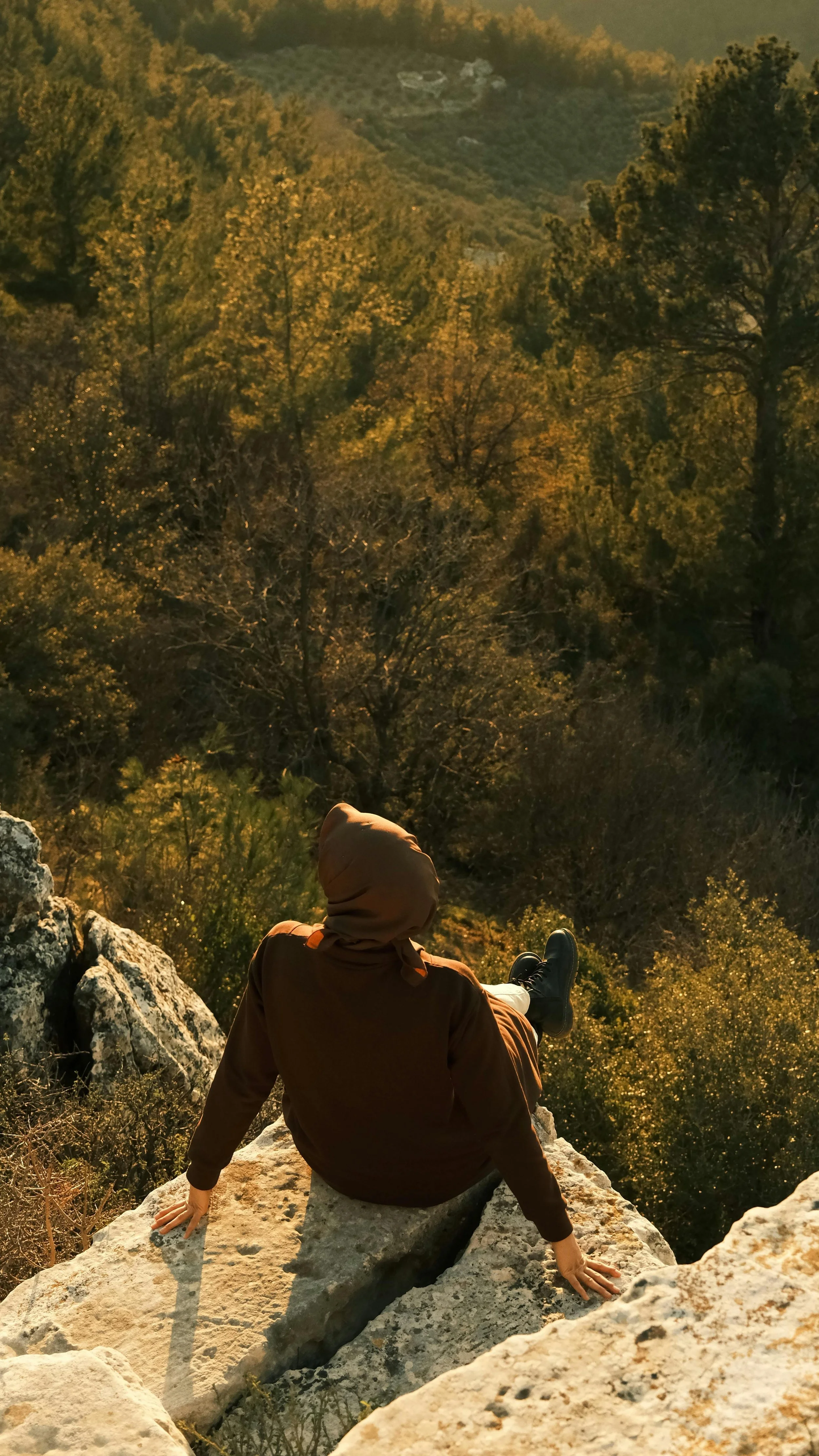 Person sitting on a large rock overlooking a forested valley with rolling hills and trees in autumn colors, wearing a brown hoodie and black shoes.