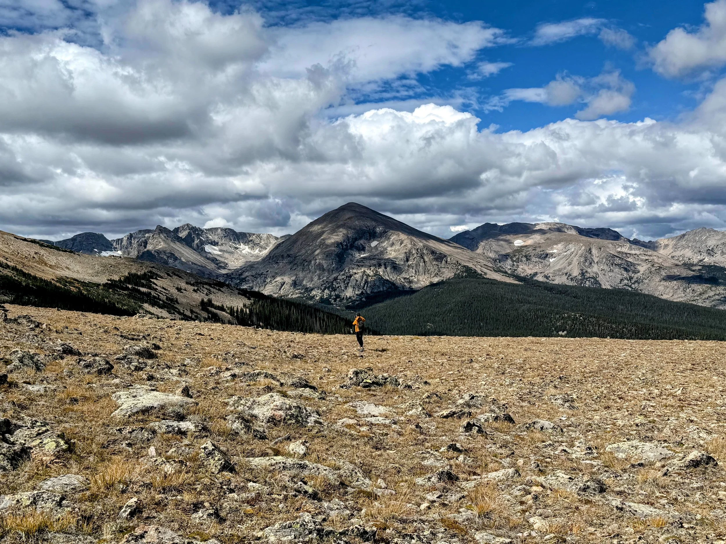 A mountainous landscape in Rocky Mountain National Park with alpine tundra terrain in the foreground, a dense forest of trees in the distance, and tall mountain peaks under a partly cloudy sky.