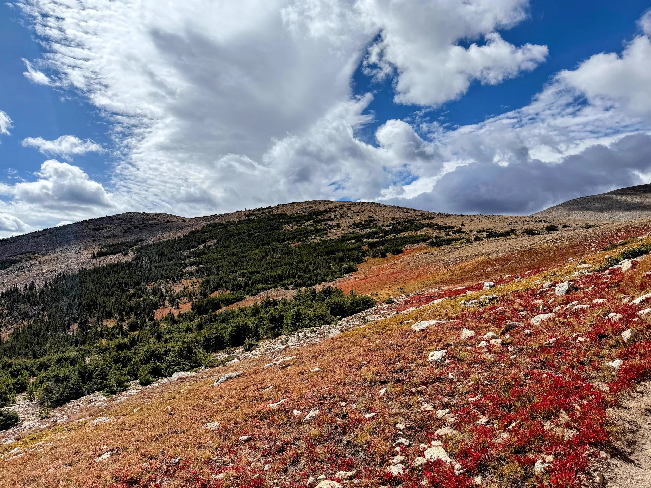 A landscape view of a mountain with rocky terrain, sparse vegetation, and patches of red and green plants, under a partly cloudy blue sky.