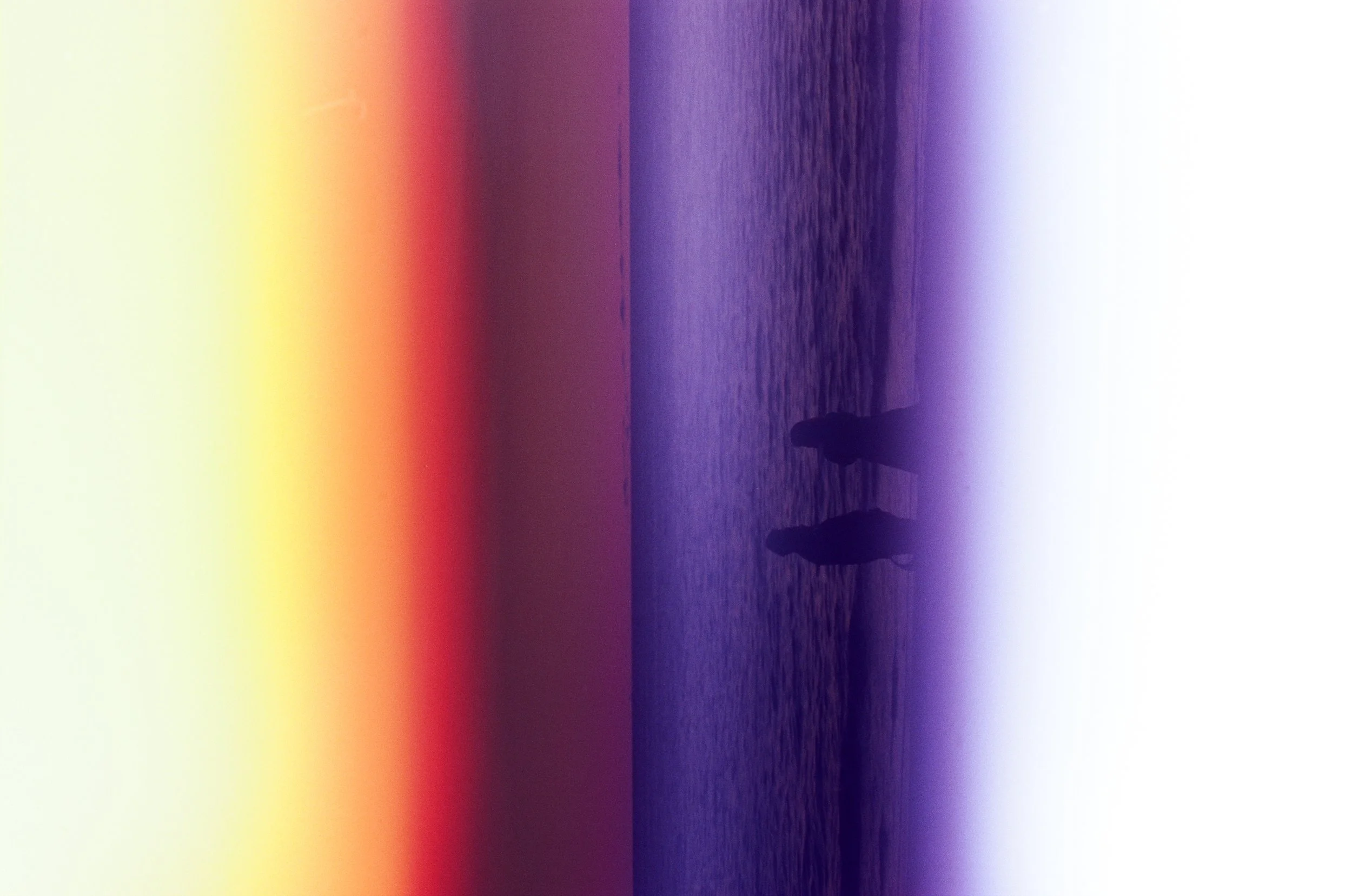 000172850002.jpg
