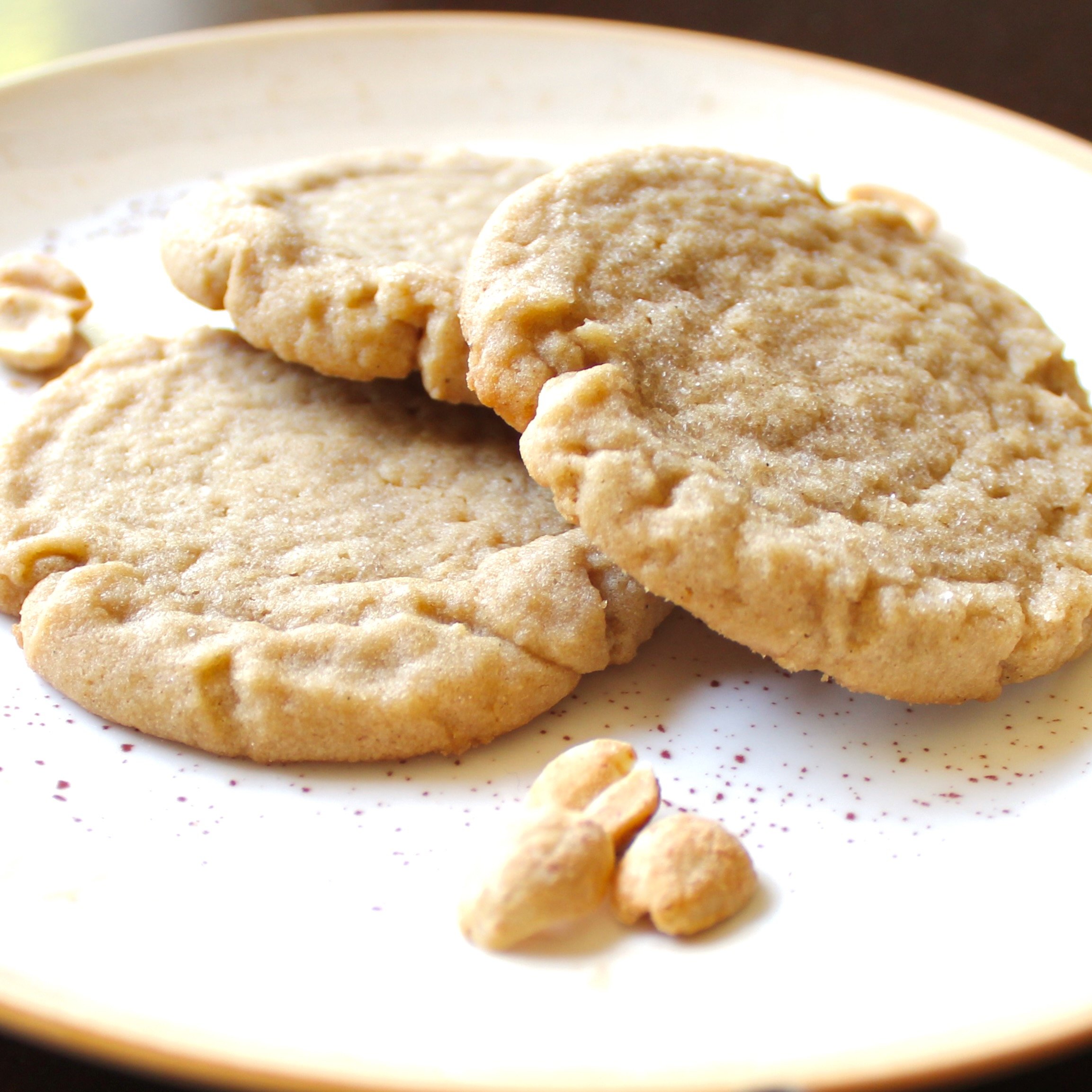 Close-up of three soft peanut butter cookies on a speckled plate with loose peanuts in front.