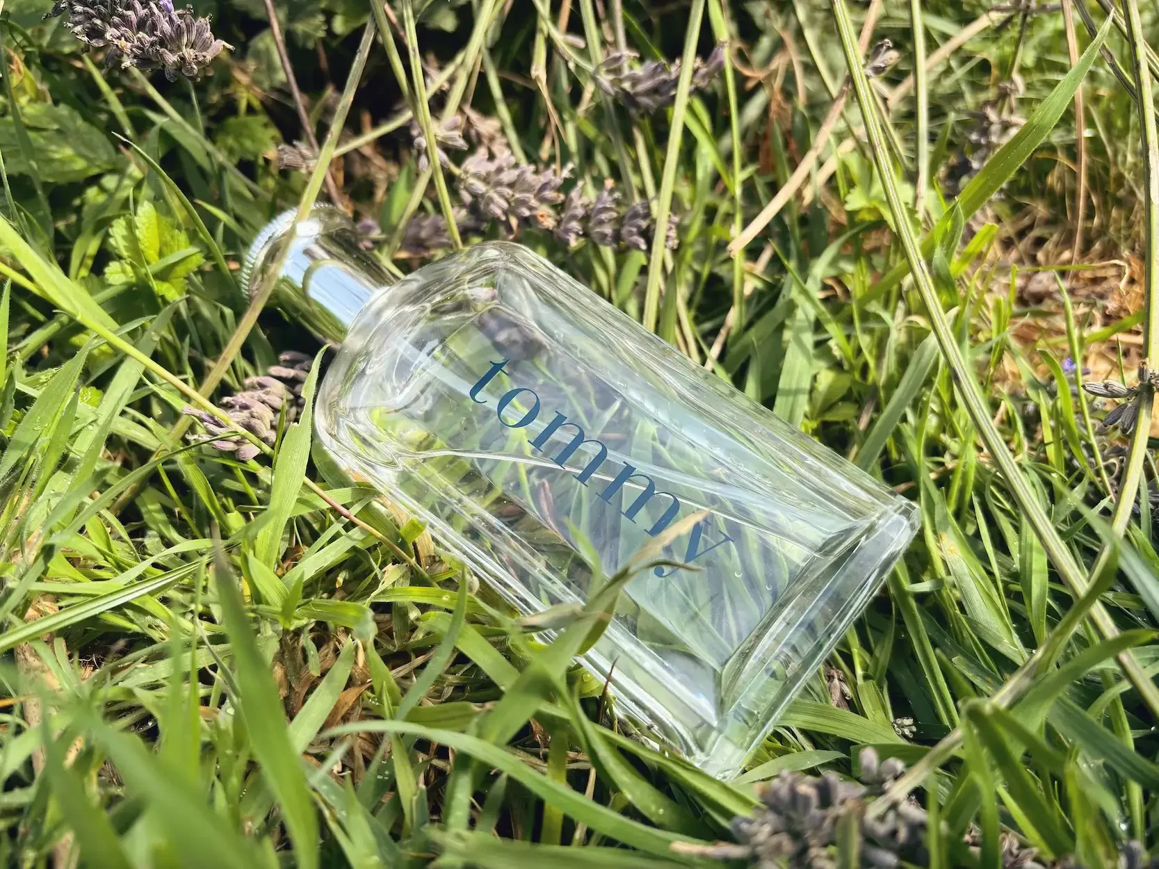 A clear bottle of Tommy Hilfiger Tommy cologne resting in green grass and lavender in Jerome's garden, highlighting its fresh 90s heritage.