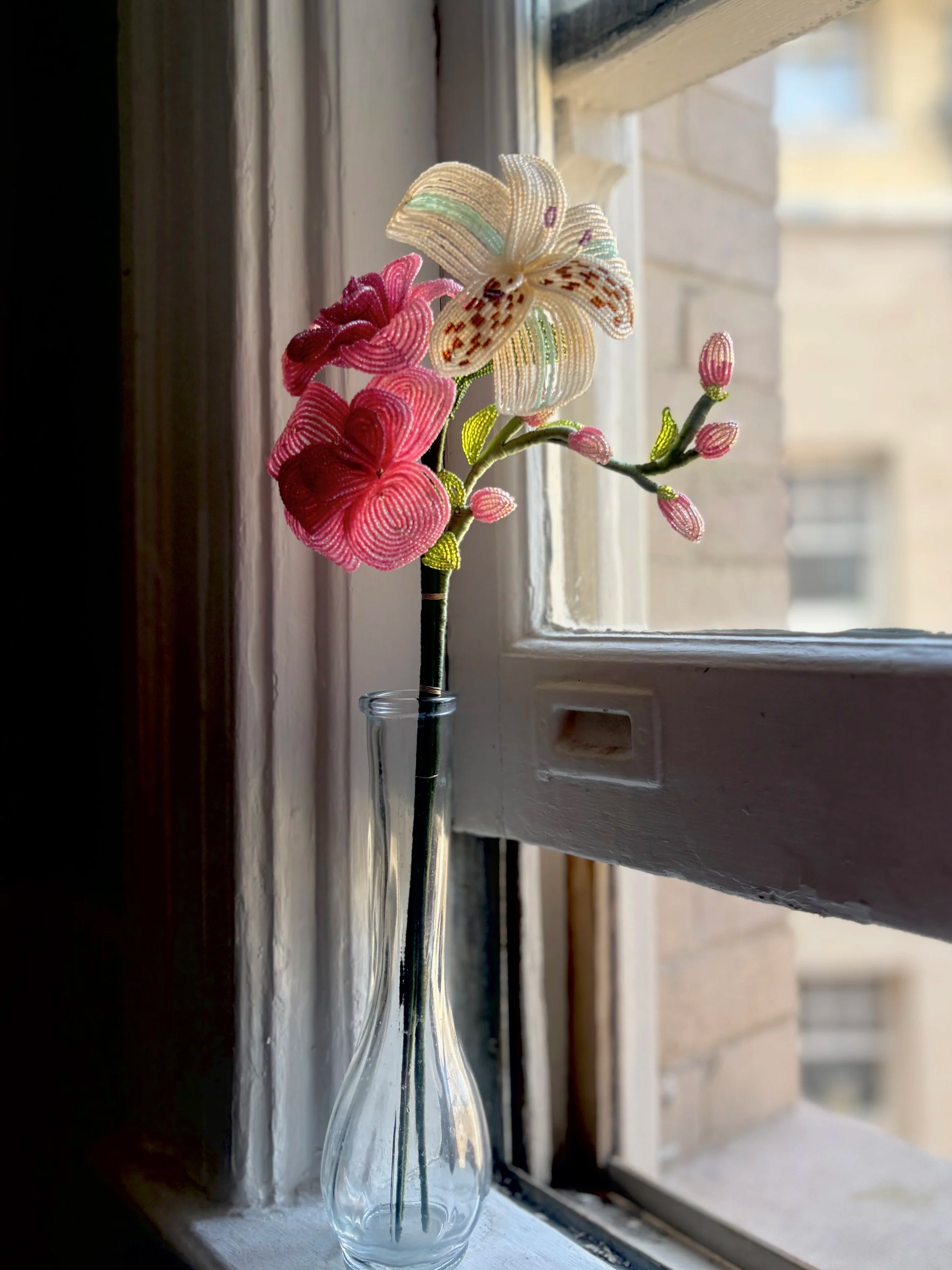 IMG_9768.png