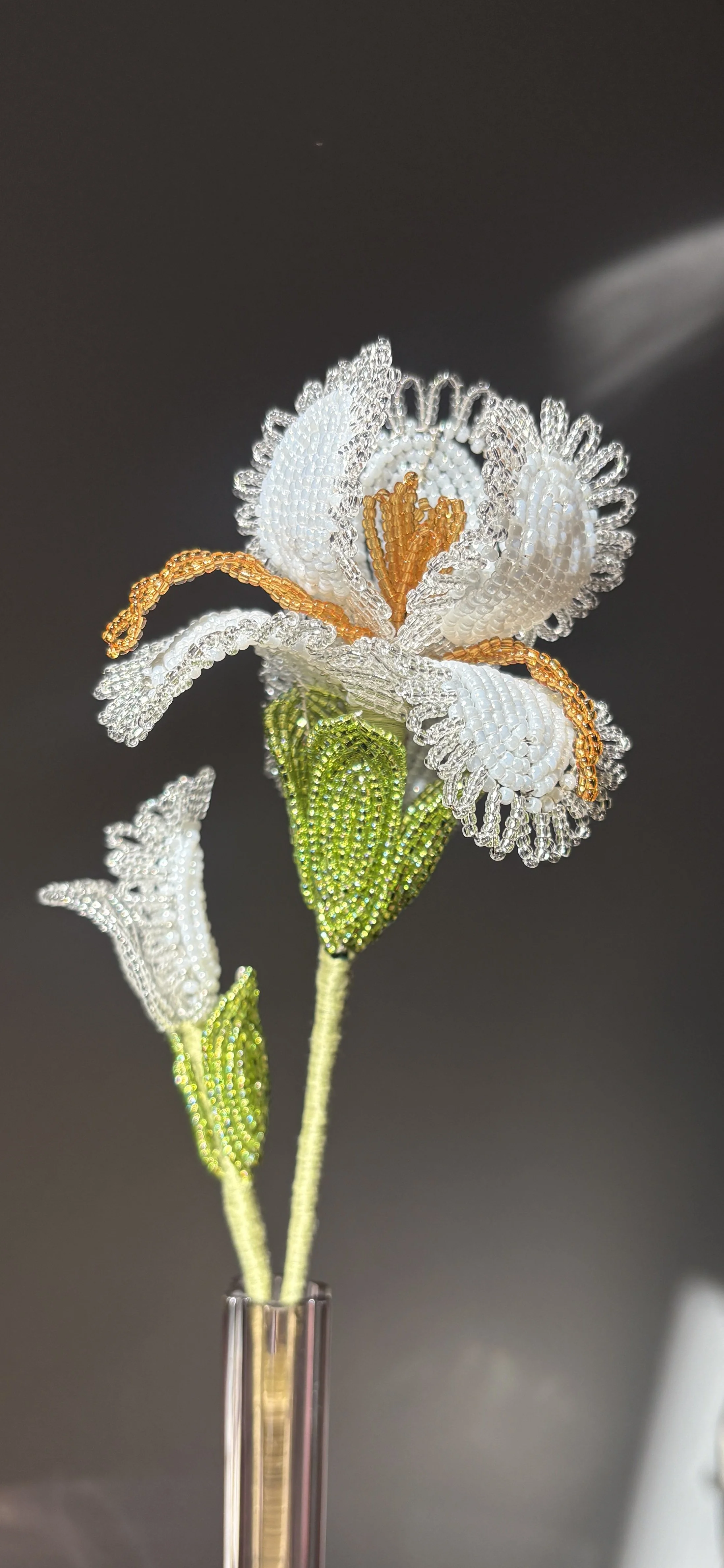 The Iris