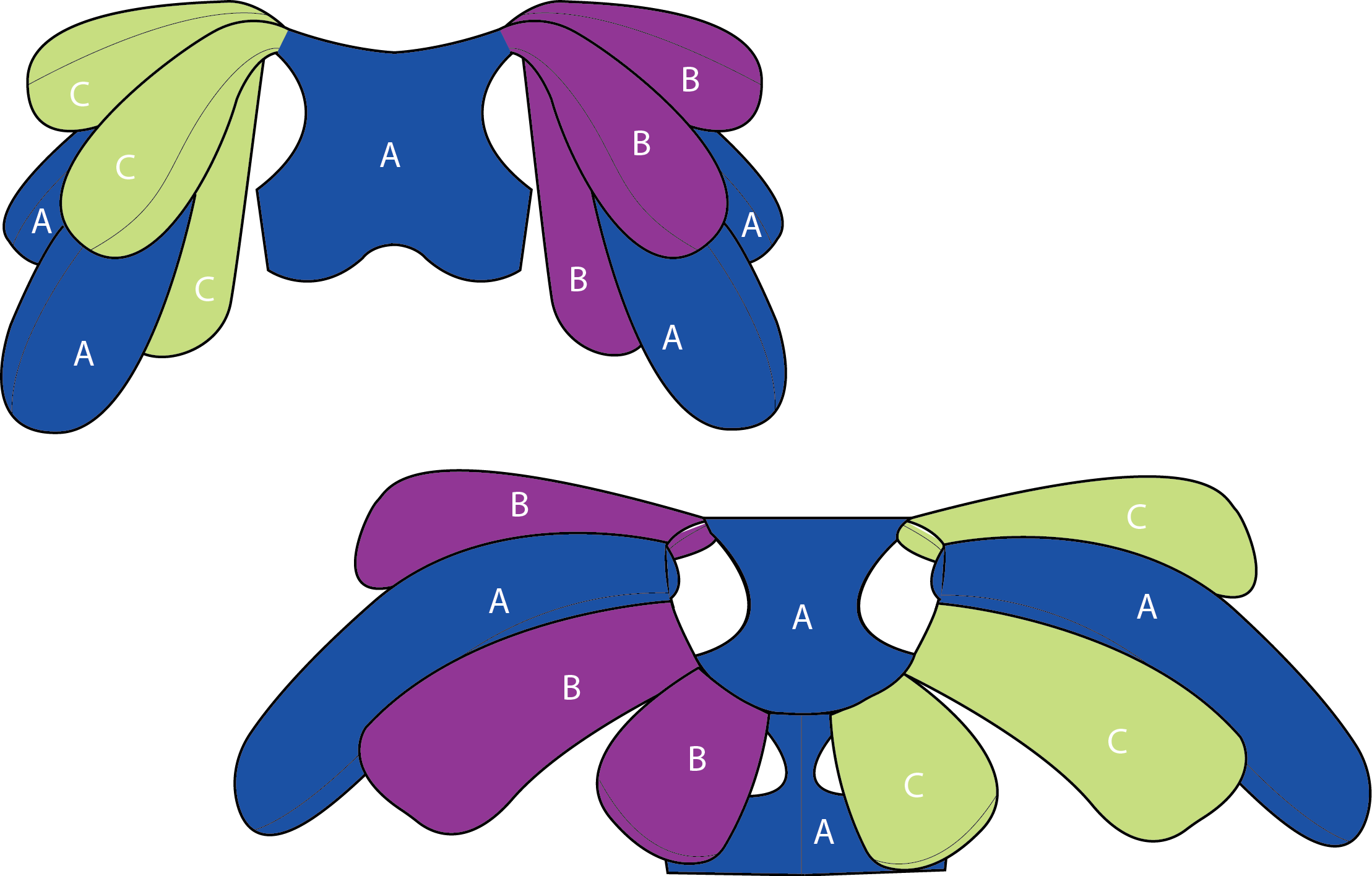 Tech+Flats+for+Colorways+CAPSTONE.png