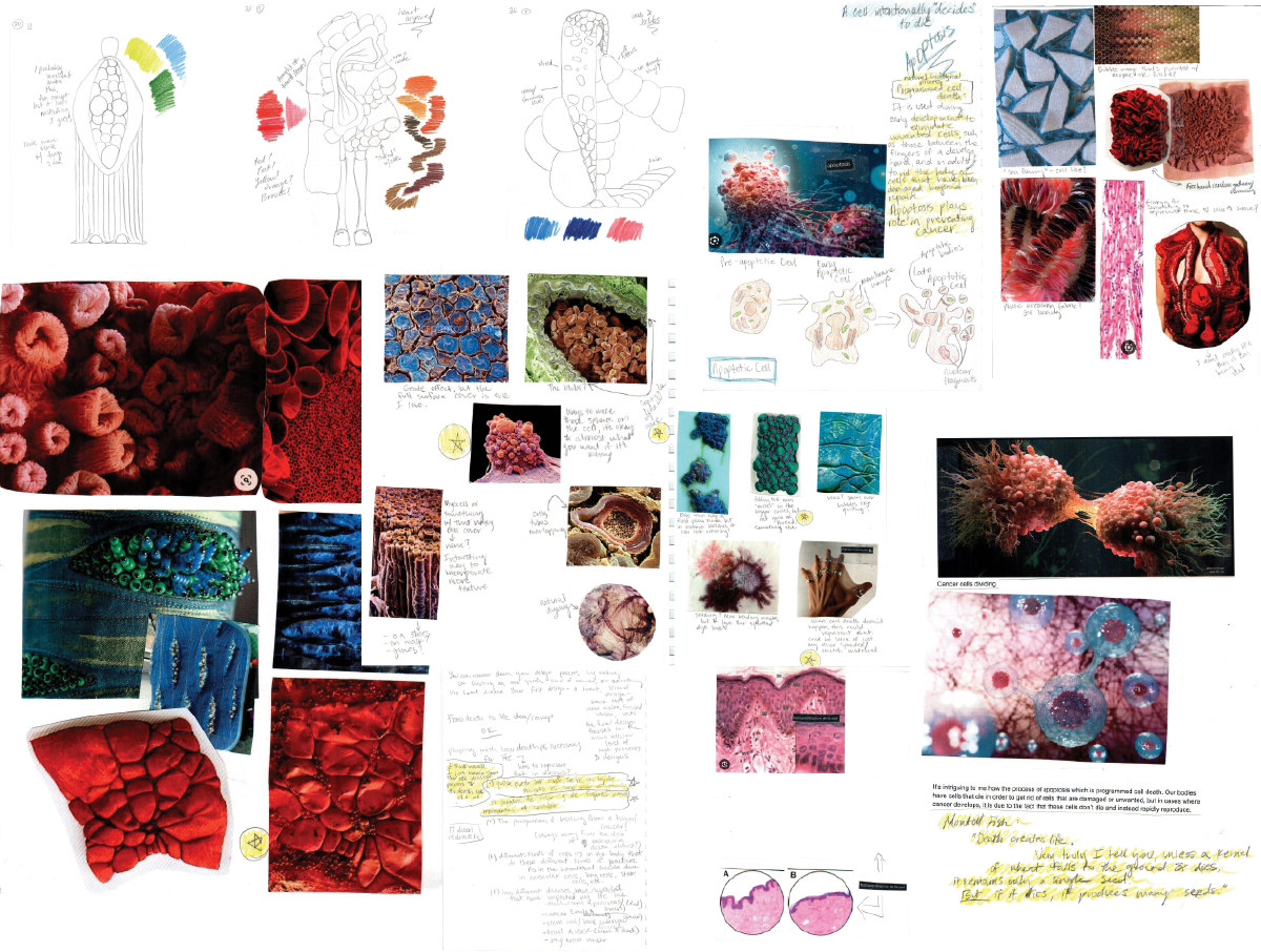 APOPTOSIS RESIZE.png