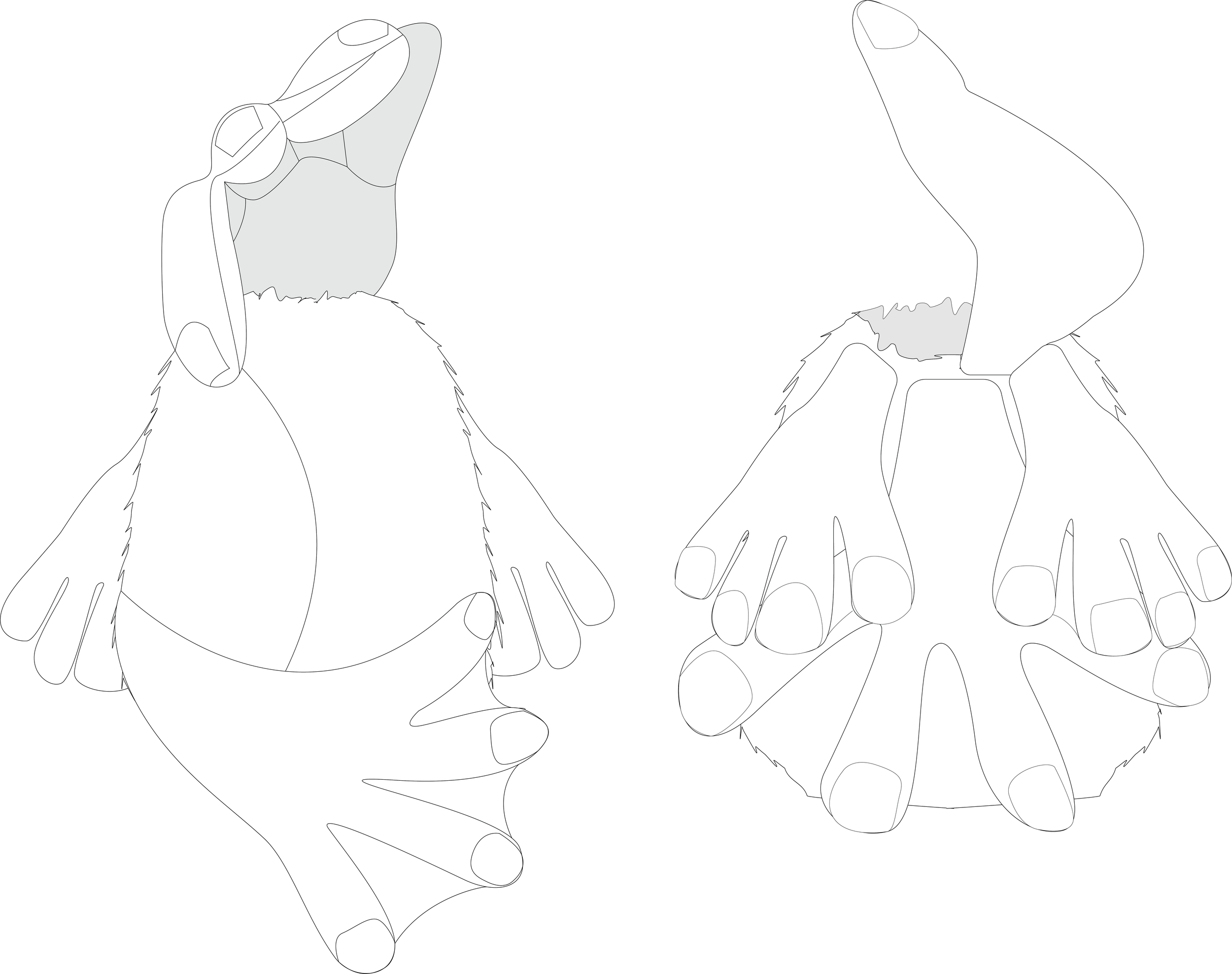 CAPSTONE HAND LOOK TECH FLATS.png