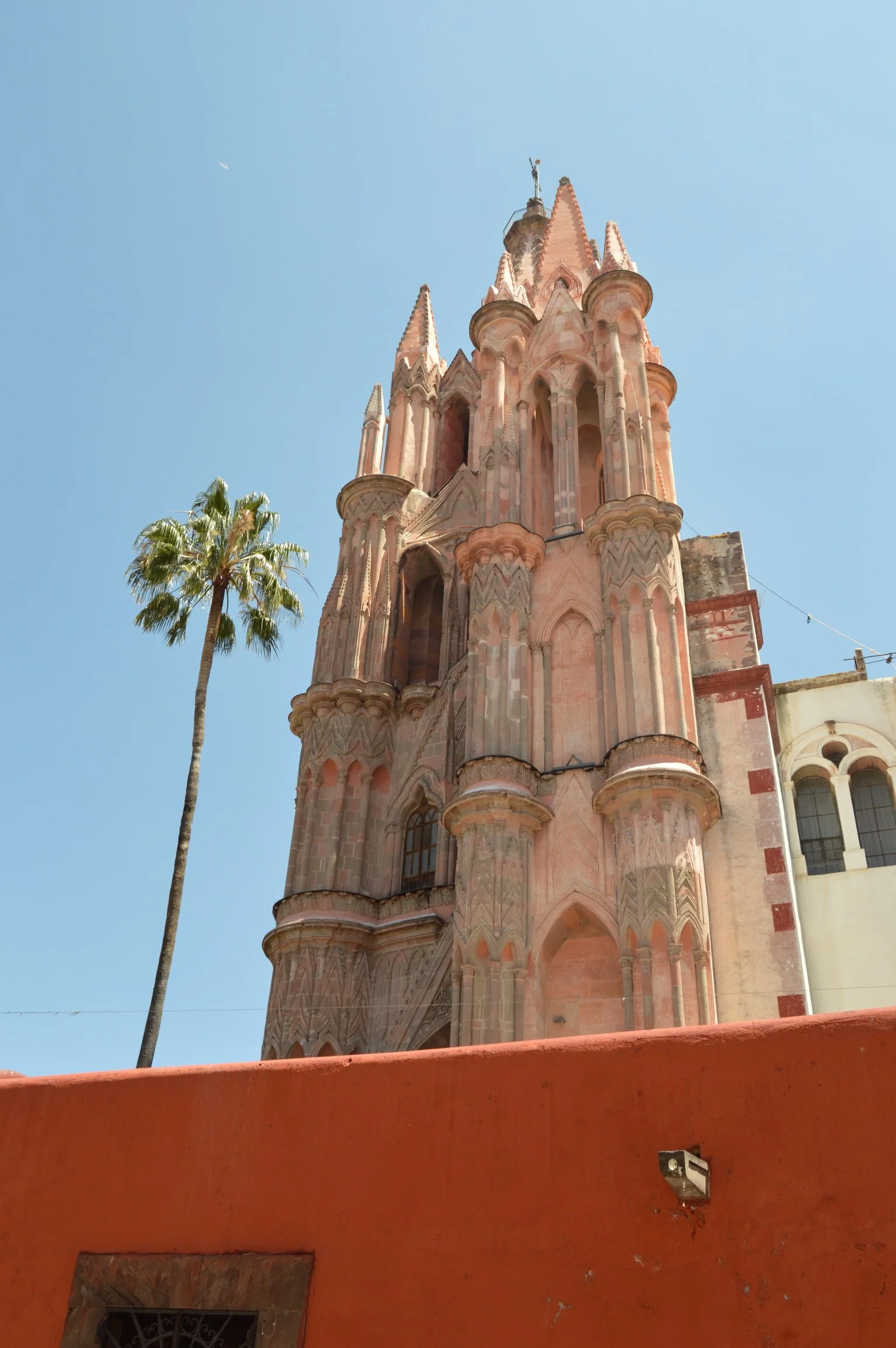 A pink Gothic-style church with tall spires, ornate architectural details, and a palm tree nearby, under a clear blue sky.