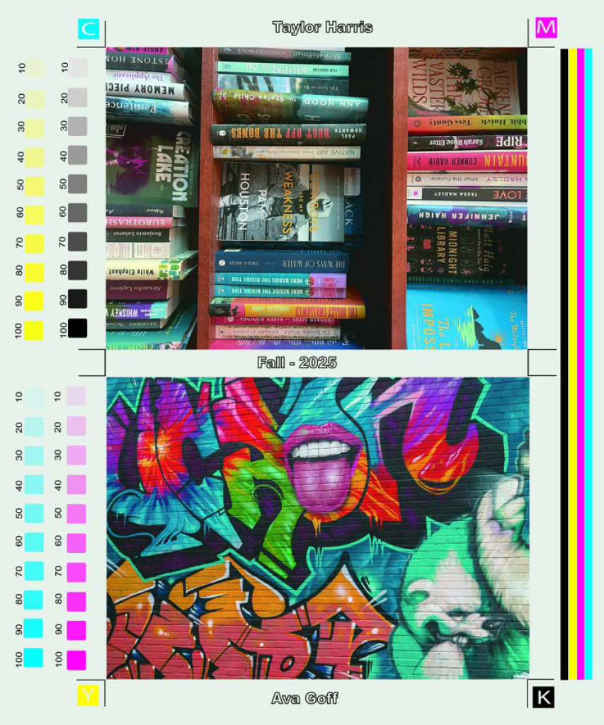 An image divided into two sections. The top section shows a bookshelf filled with books, labeled with the name 'Taylor Harris' and the date 'Fall - 2025'. The bottom section displays a colorful graffiti mural featuring a woman with open mouth, tongue out, surrounded by vibrant designs and abstract shapes. Various color calibration bars and labels are also present around the image.