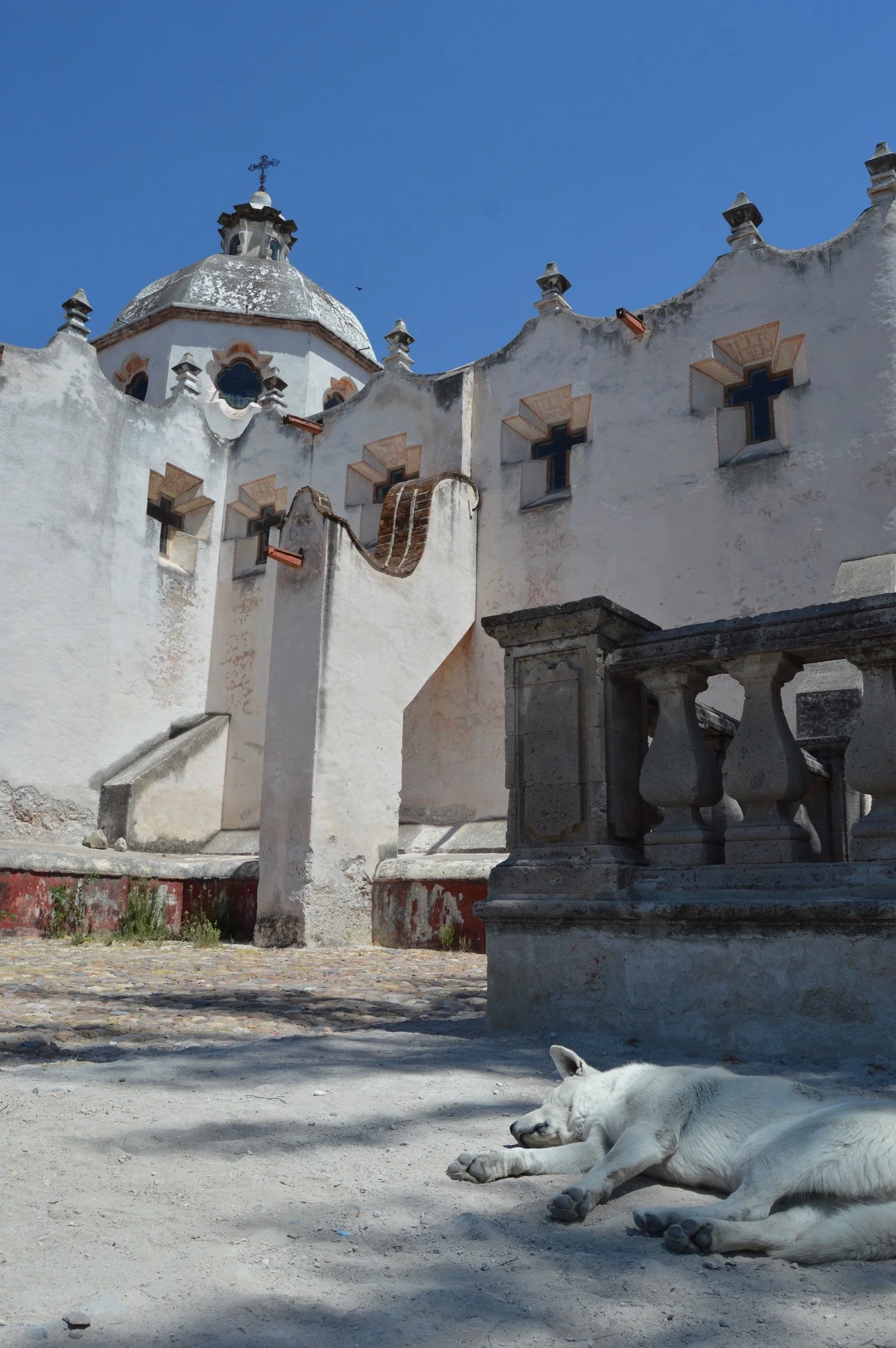 A white dog sleeping on the ground outside a historic white church with a curved roof, small windows with crosses, and a stone balcony, under a bright blue sky.