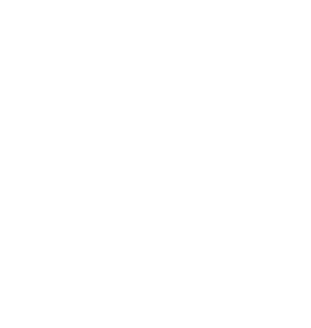 A black and white stylized phoenix with outstretched wings within a flame-shaped border.