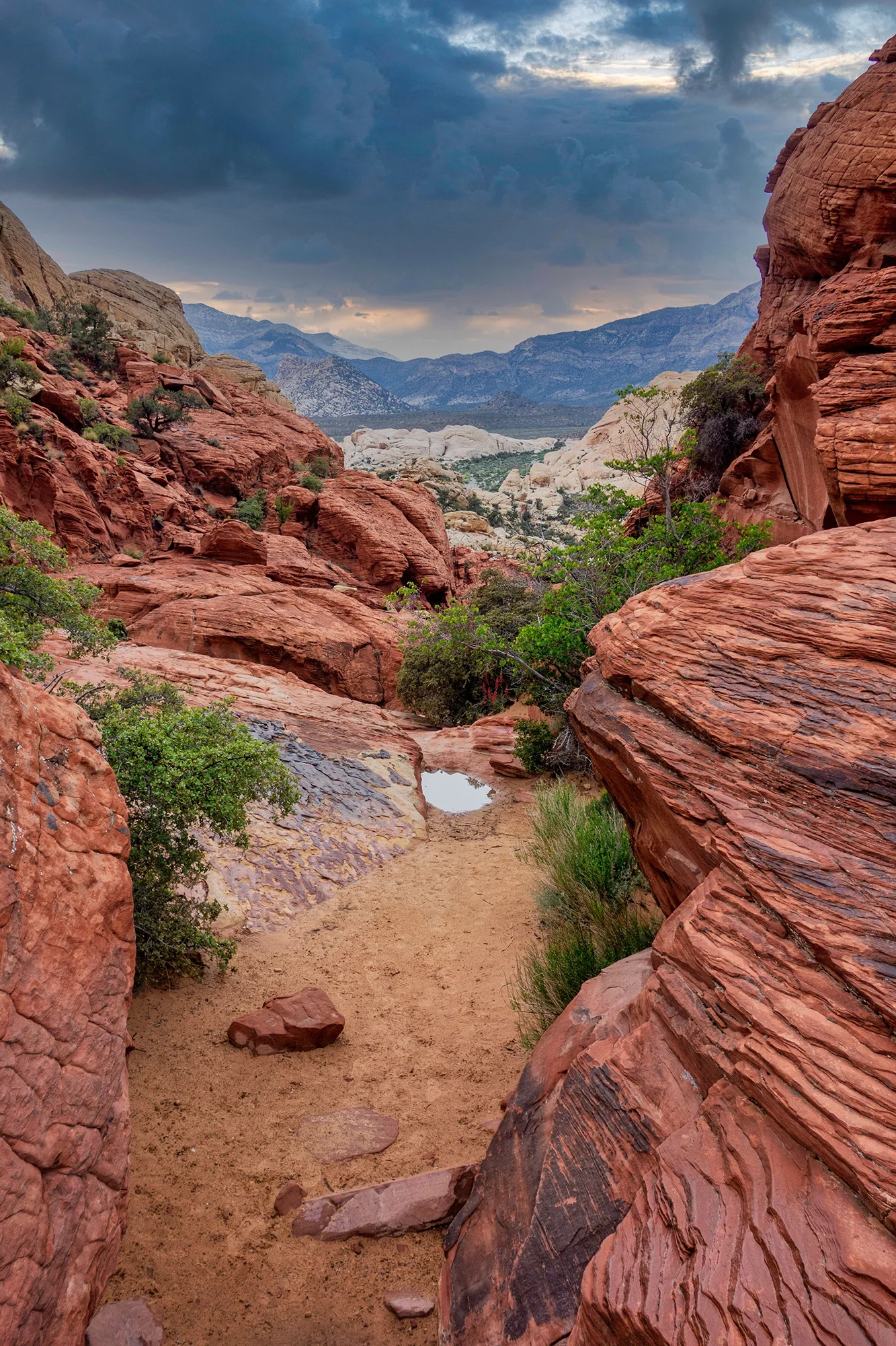 A desert canyon with reddish rock formations and green desert shrubs, under a cloudy sky with mountains in the background.