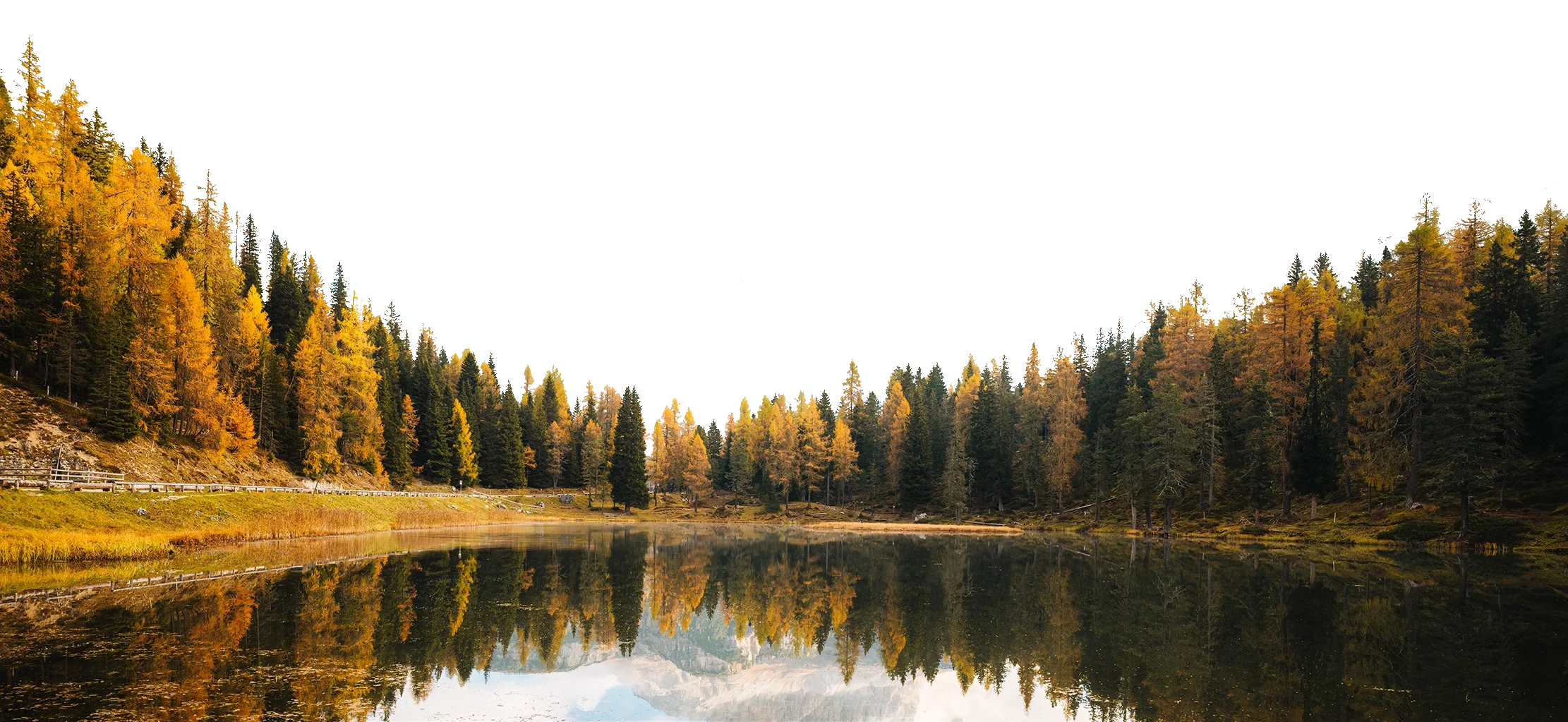 A serene lake surrounded by a dense forest of trees with golden and green foliage, reflecting in the calm water, under a bright sky.