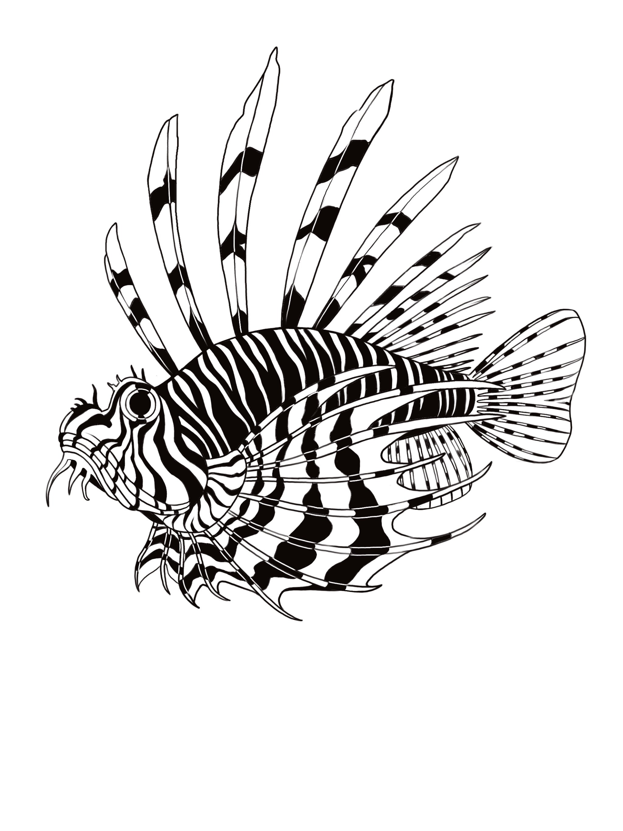 Tiger Fish