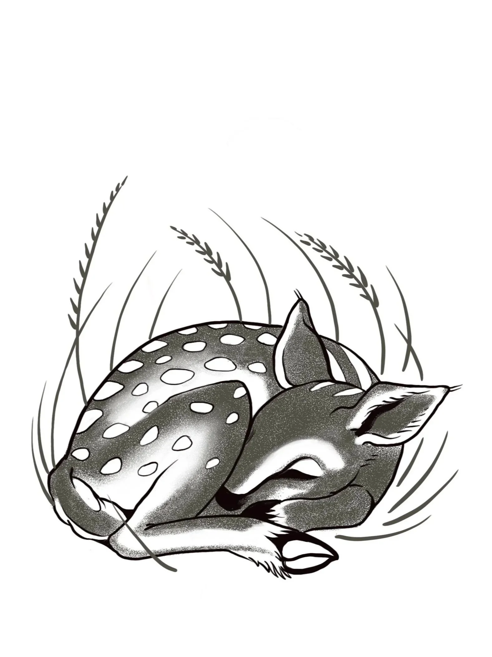 Sleeping Fawn 