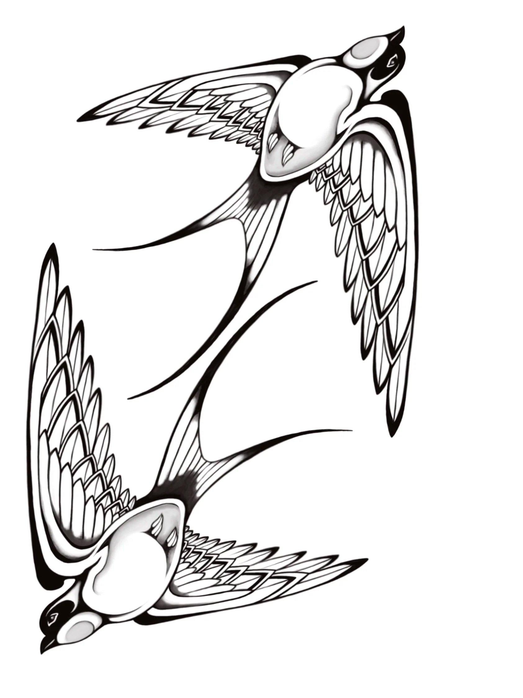 Swallows