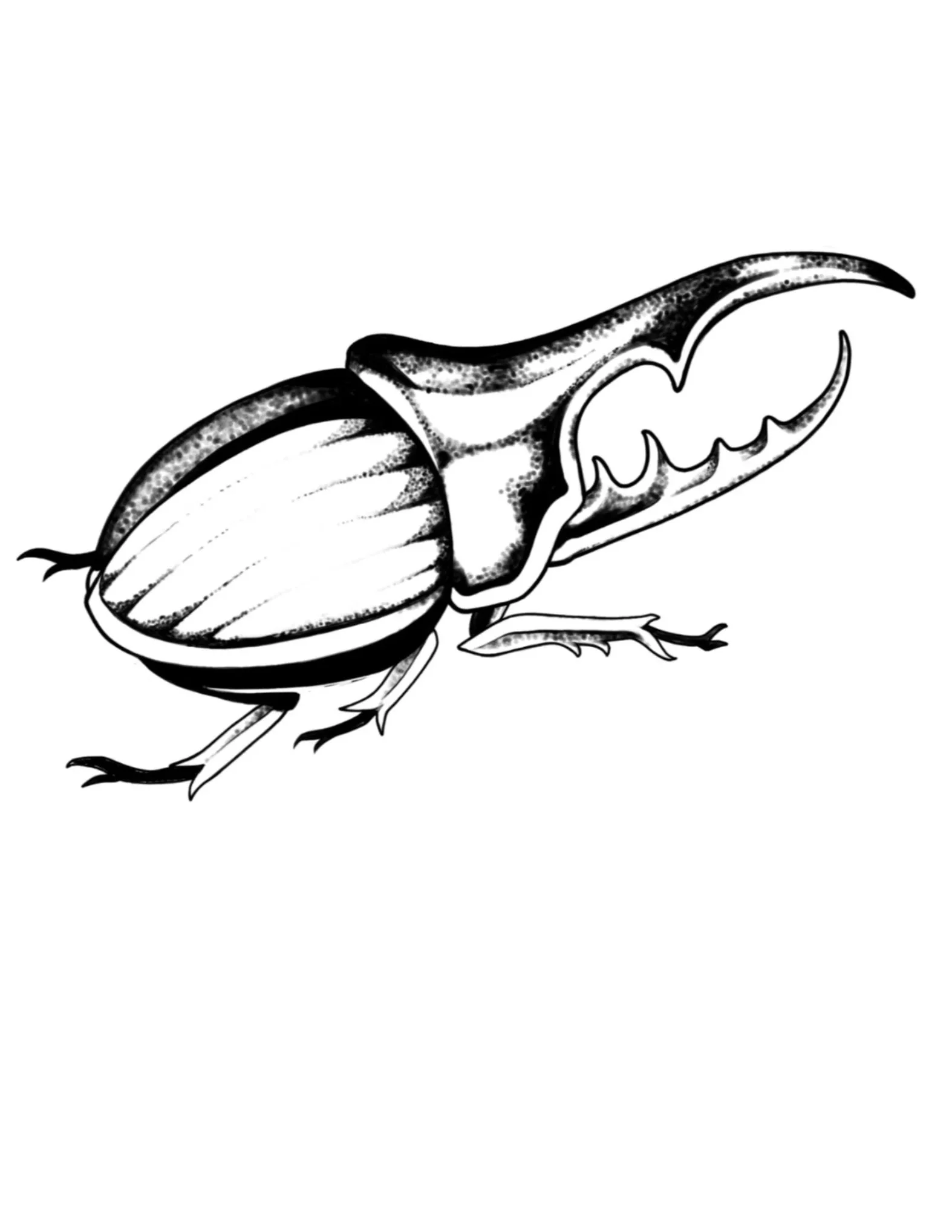 Beetle Bug