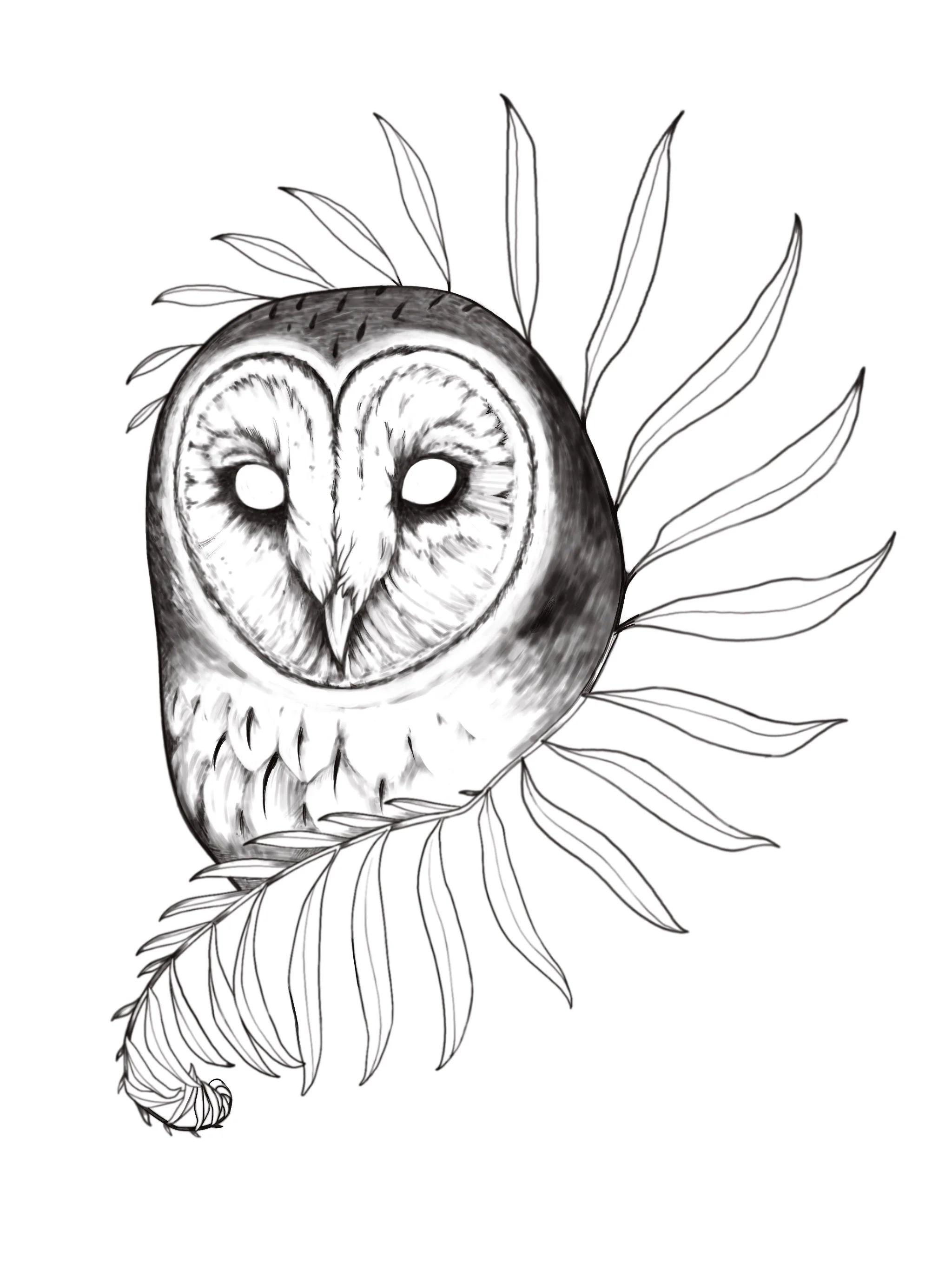 Owl wrapped in Fern