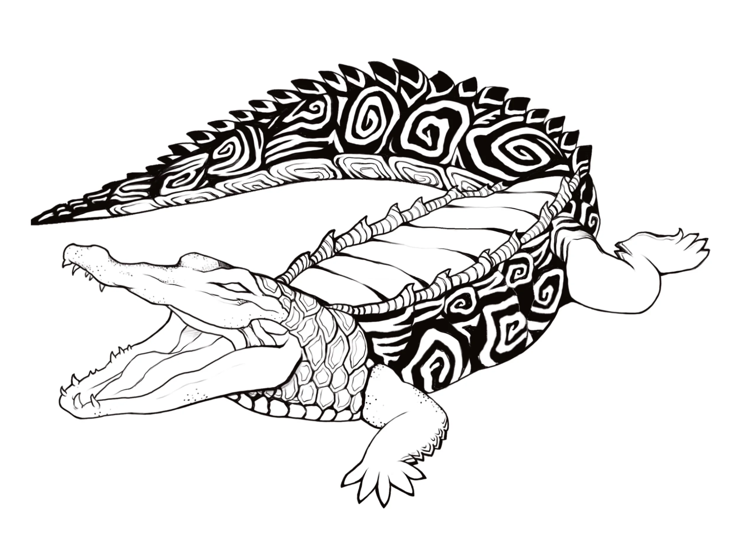 Alligator