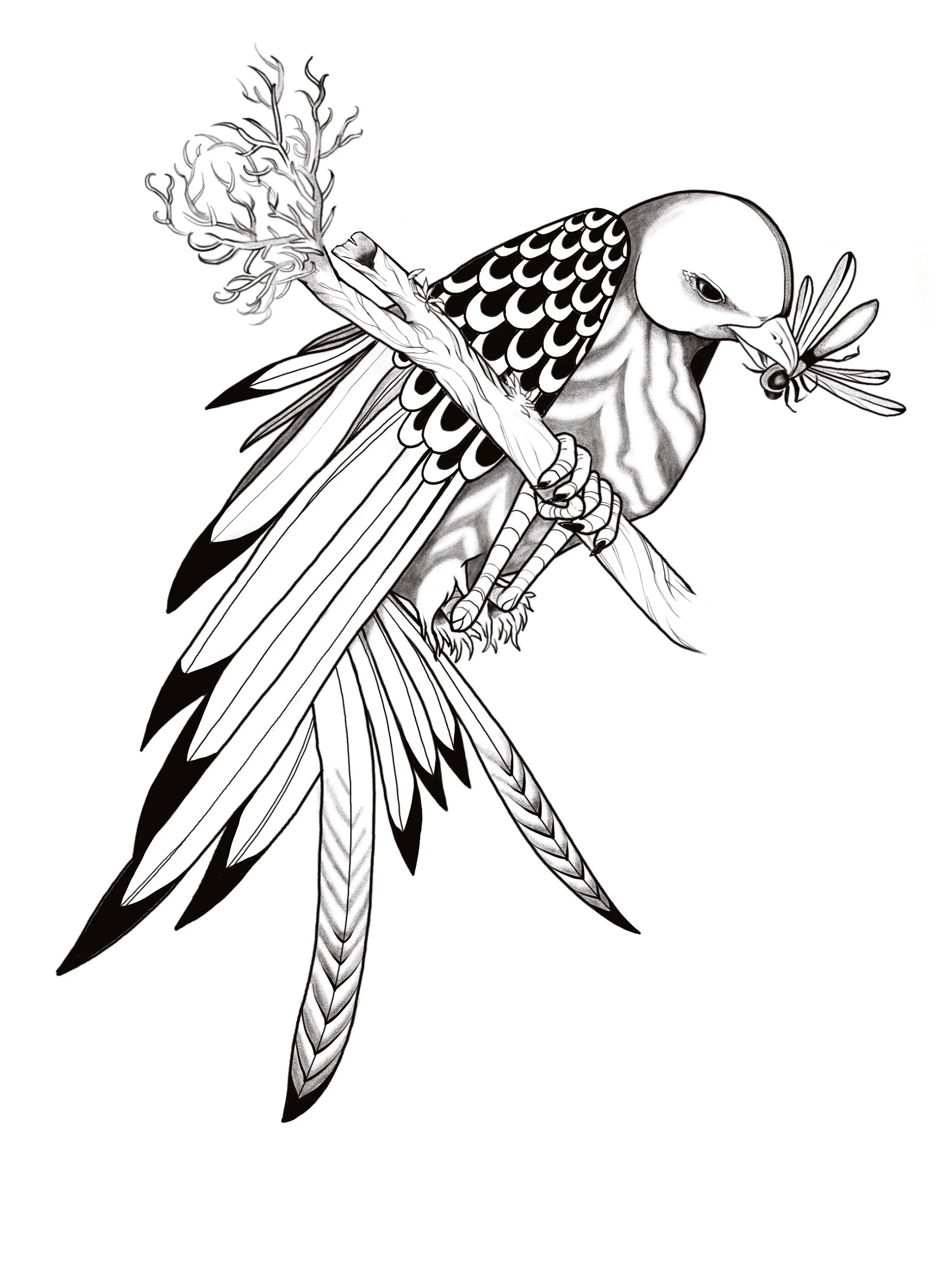 Abstracty Bird