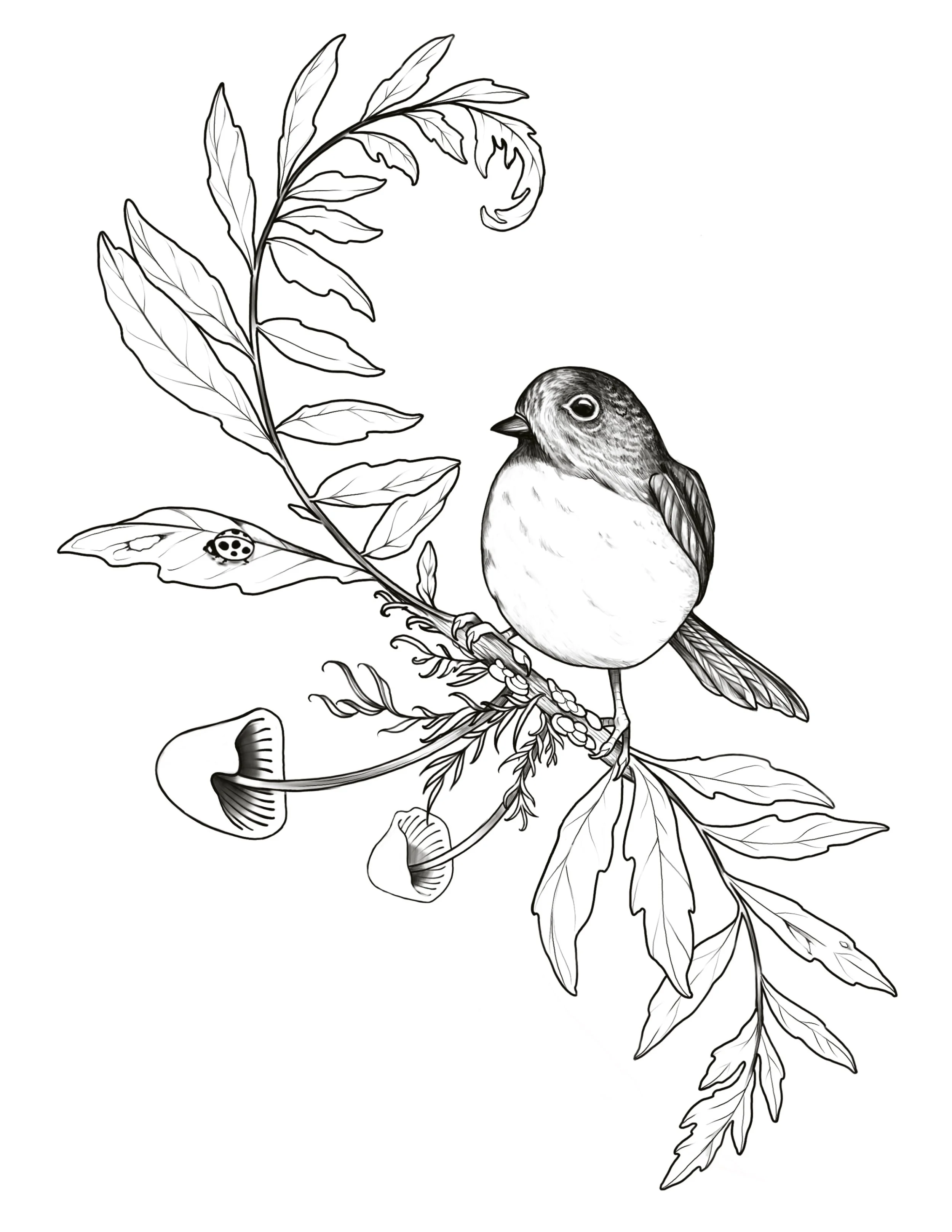 Bird / Fungi / Fern Wrap