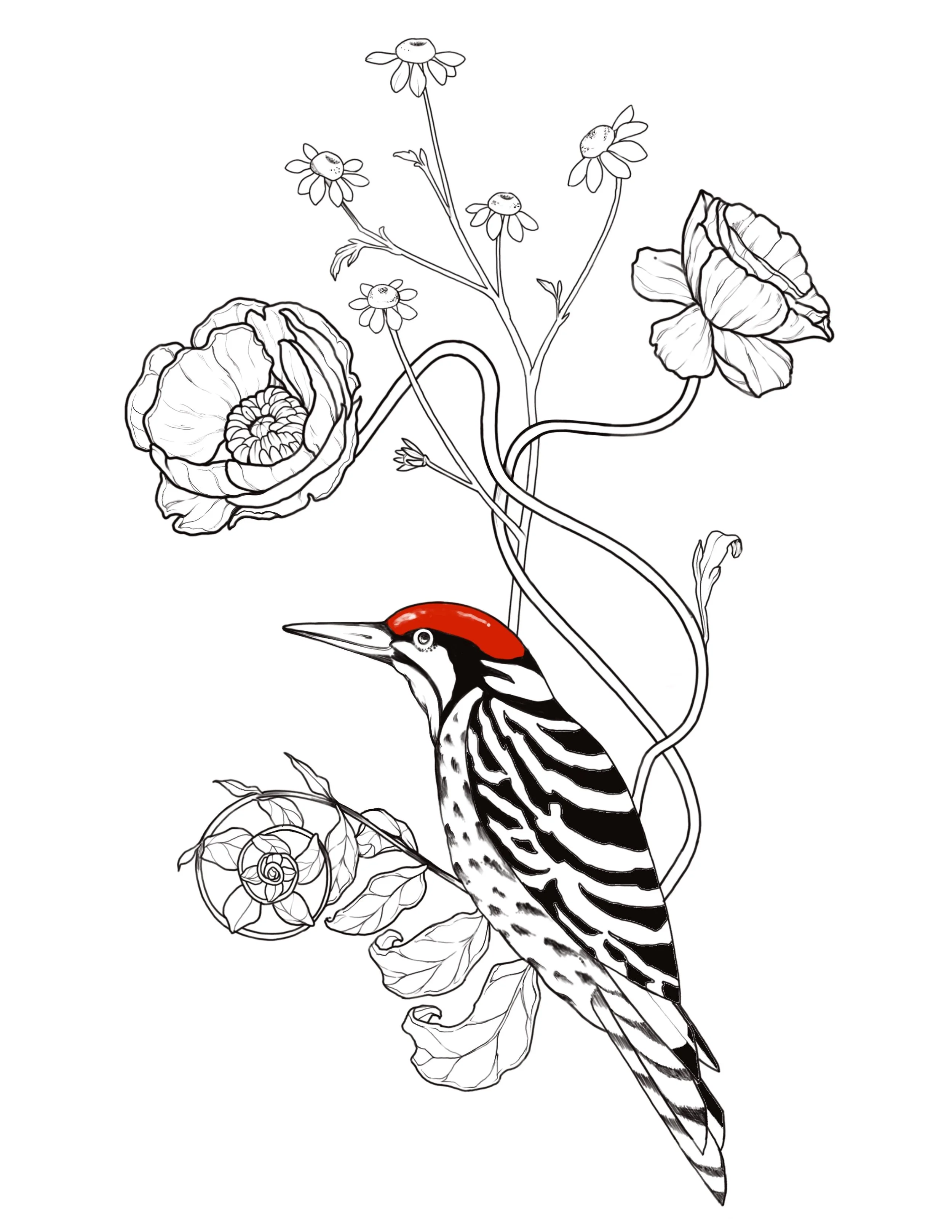woodpecker & Poppy