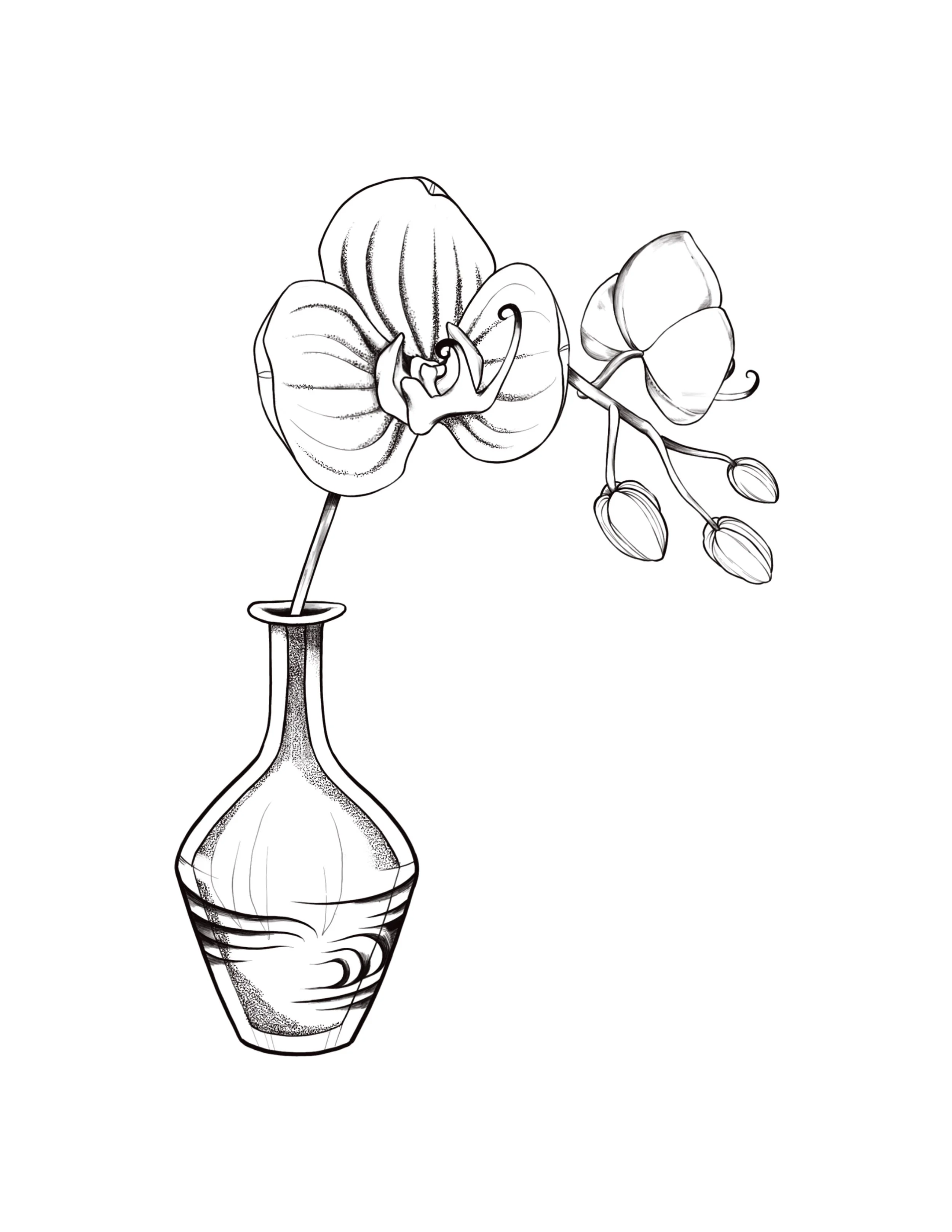 Orchid in Vase