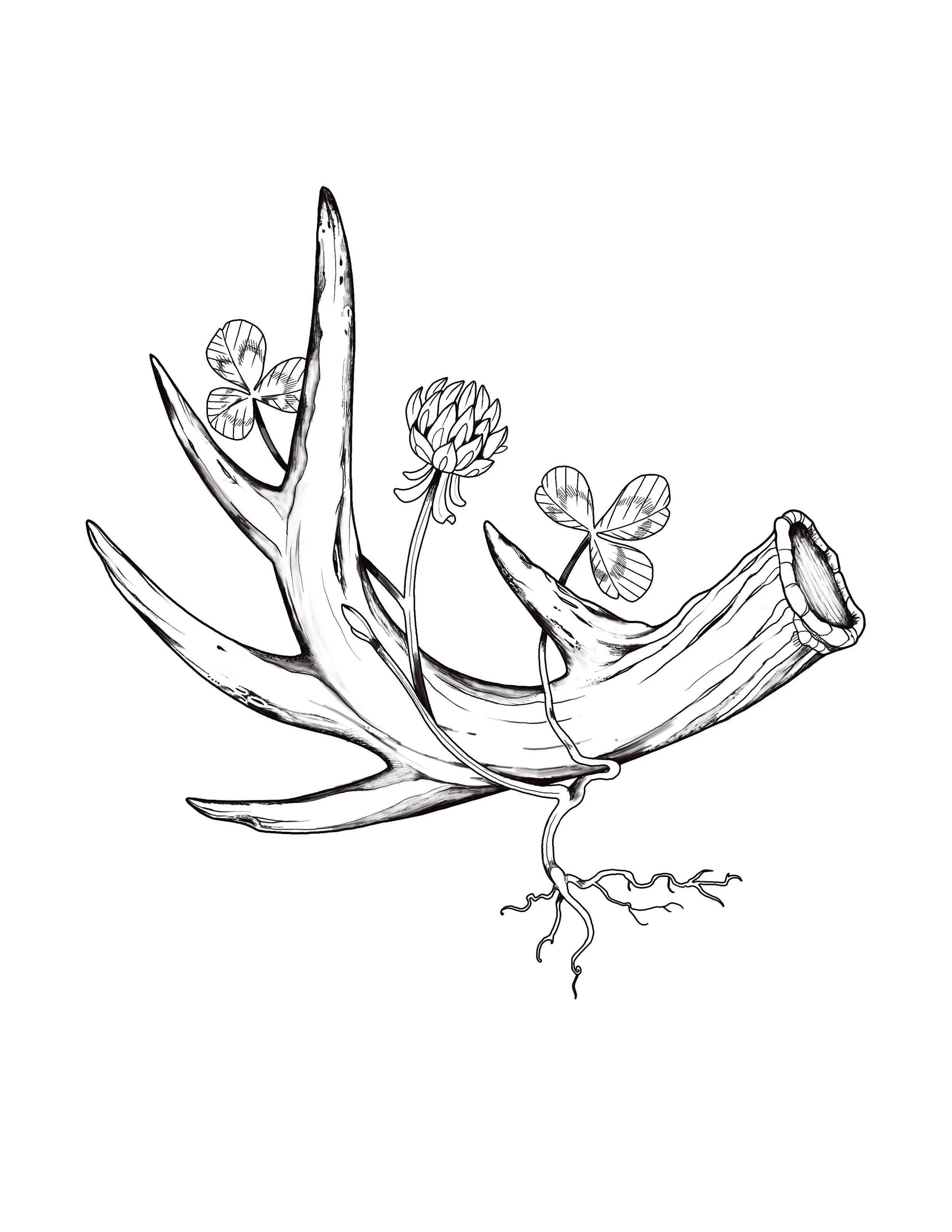 Antler & Clover