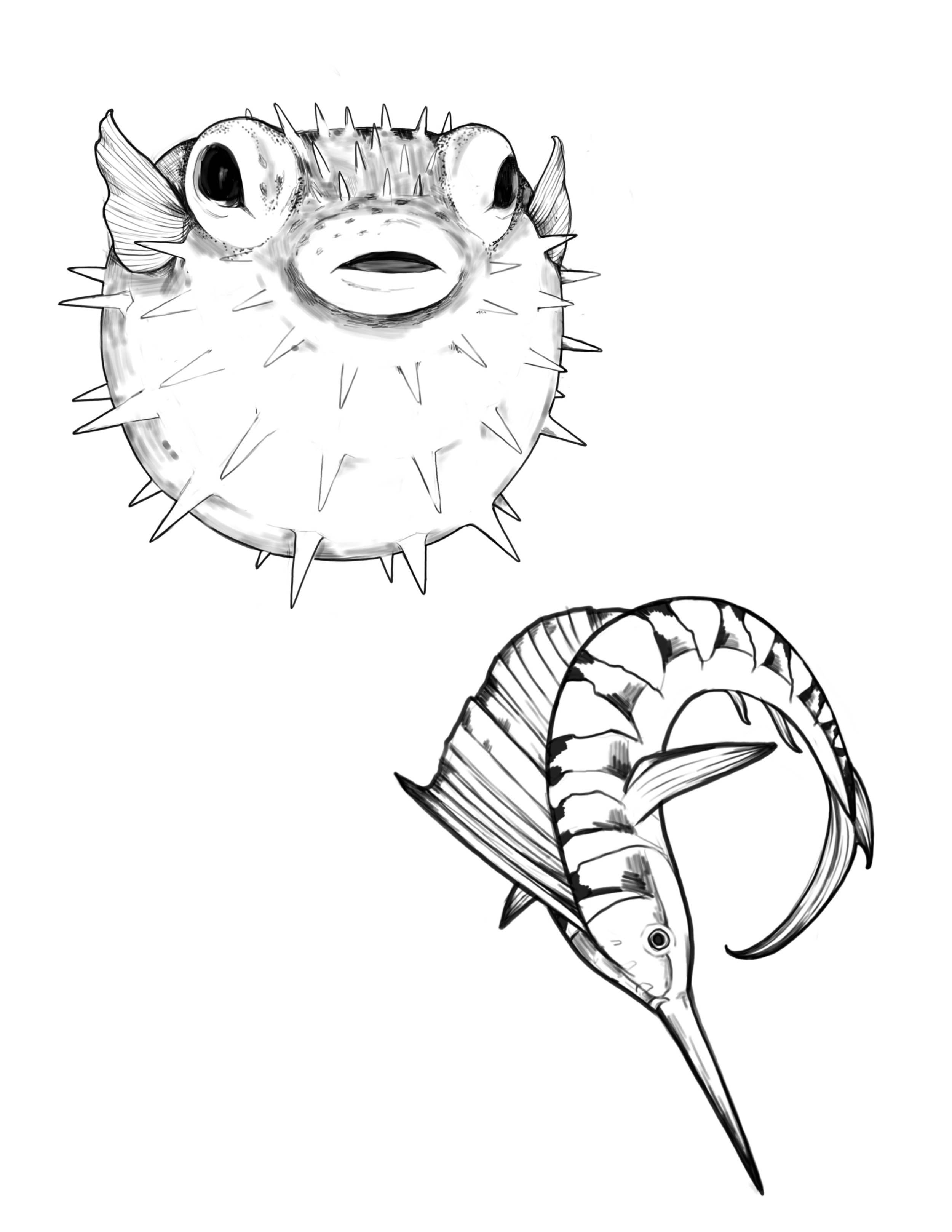 Ocean Creatures 