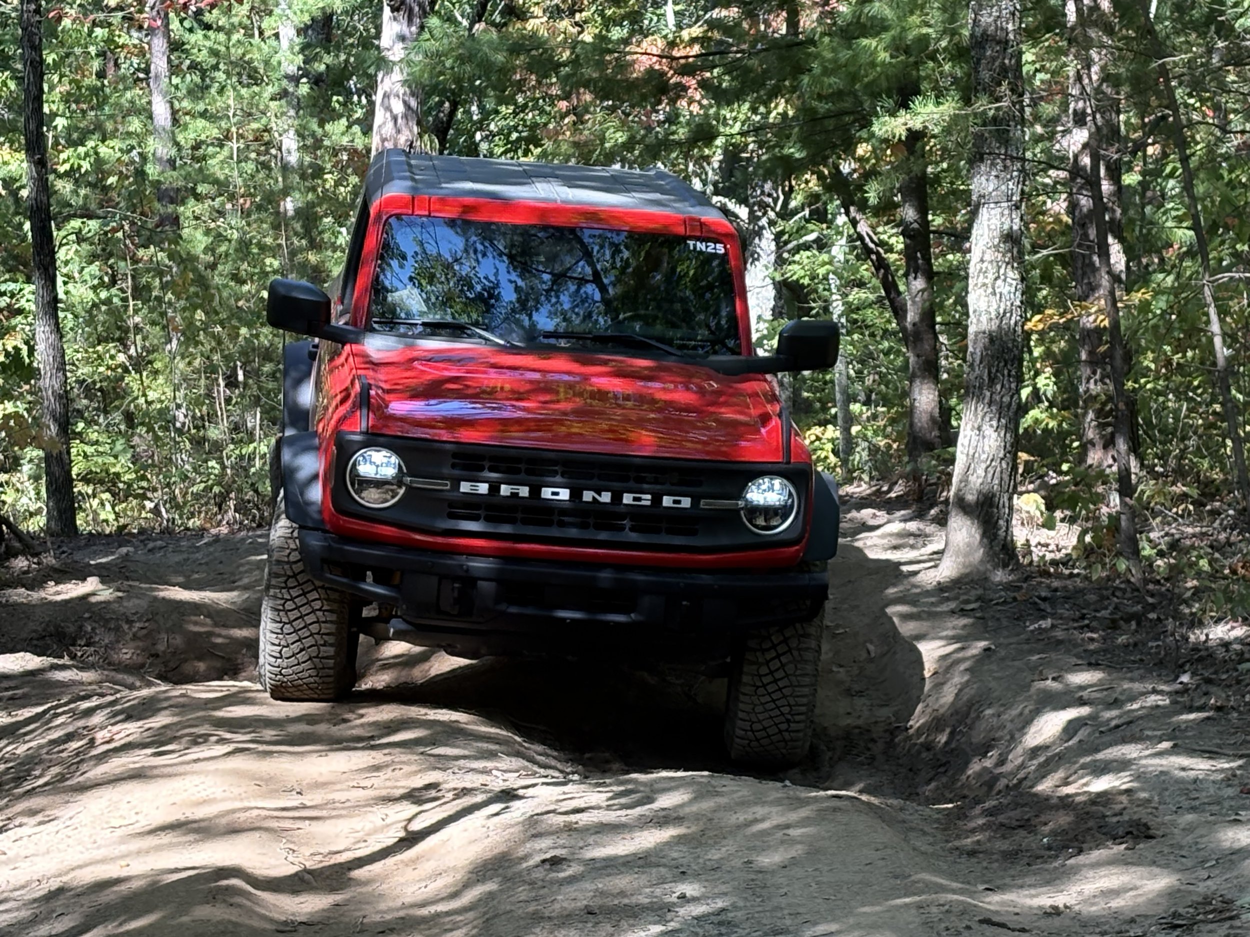 Red and black Ford Bronco vehicle navigating a dirt trail in a dense forest with tall trees and green foliage.