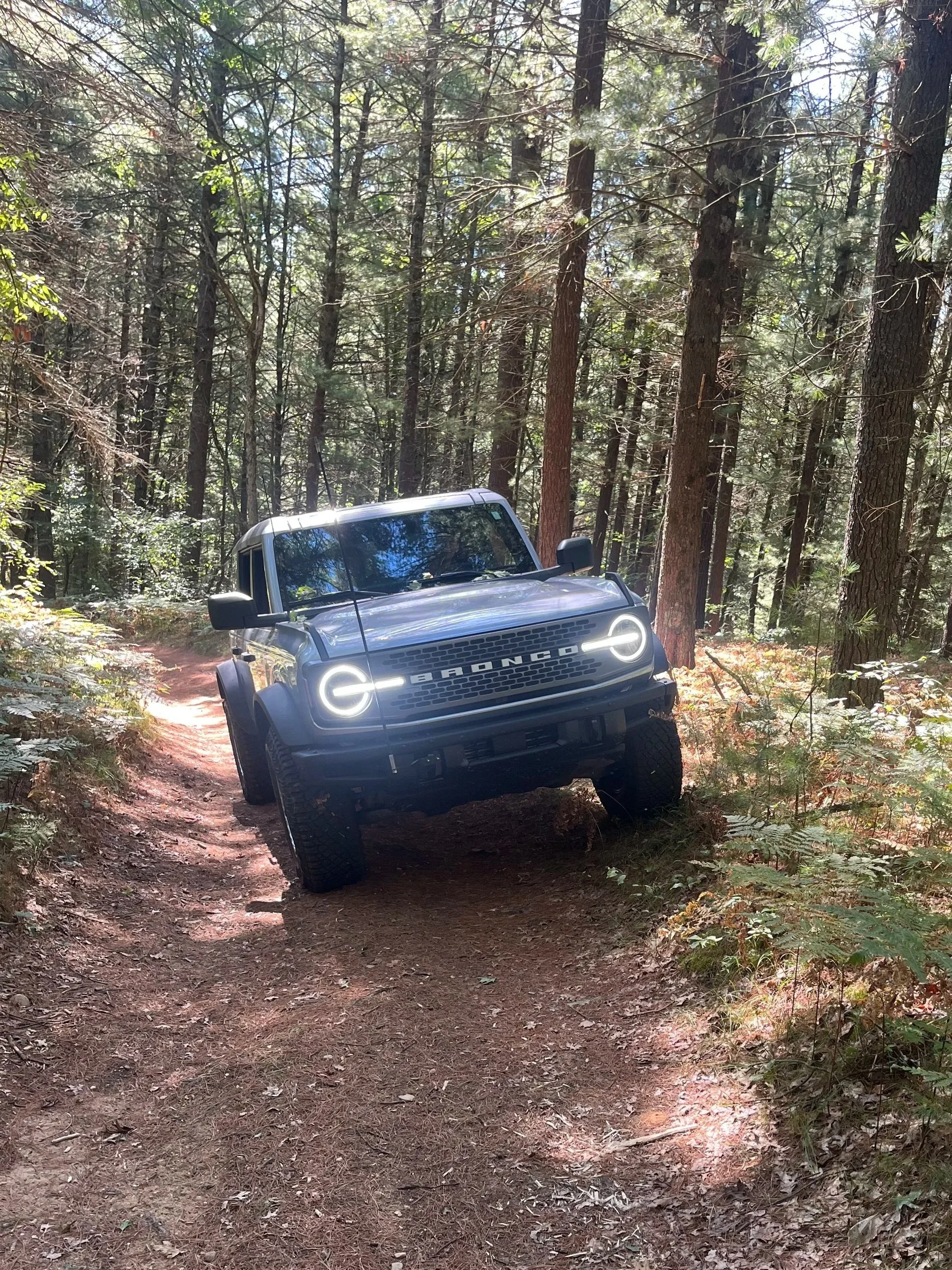 A dark gray Ford Bronco vehicle with bright logo lights on the front, navigating a narrow dirt trail in a dense forest with tall trees and sparse undergrowth.