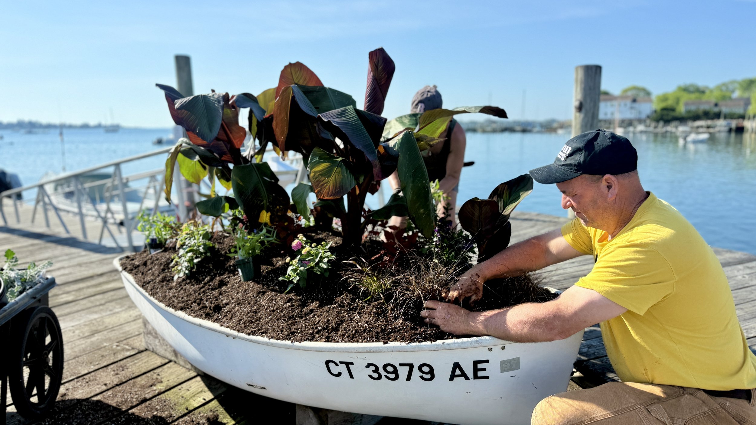 Man planting flowers in a boat repurposed as a garden on a pier by the water.
