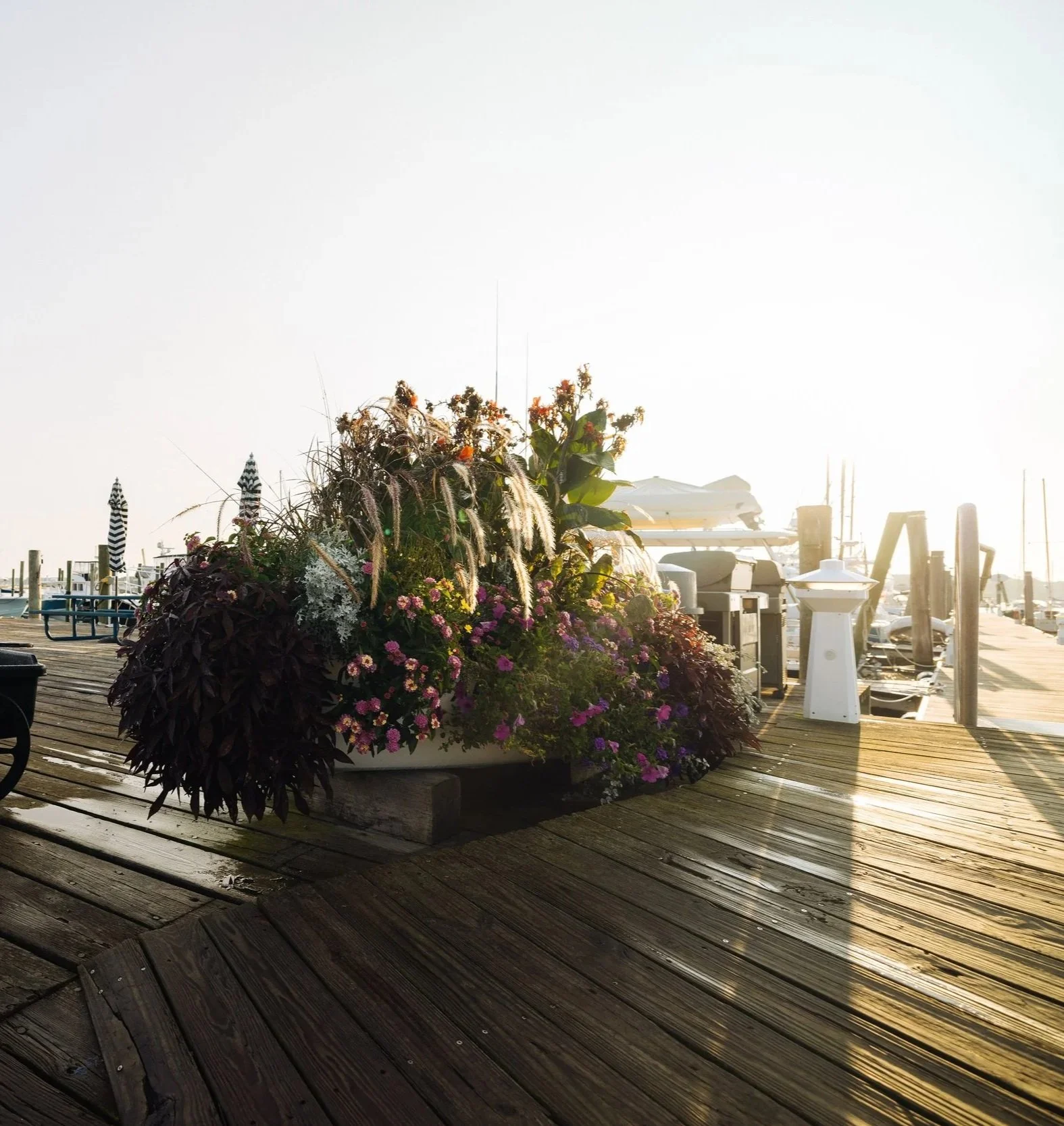 A large flower planter with purple, pink, white and orange flowers and green leaves on a wooden dock at a marina, with boats and mooring posts in the background and the sun shining brightly.