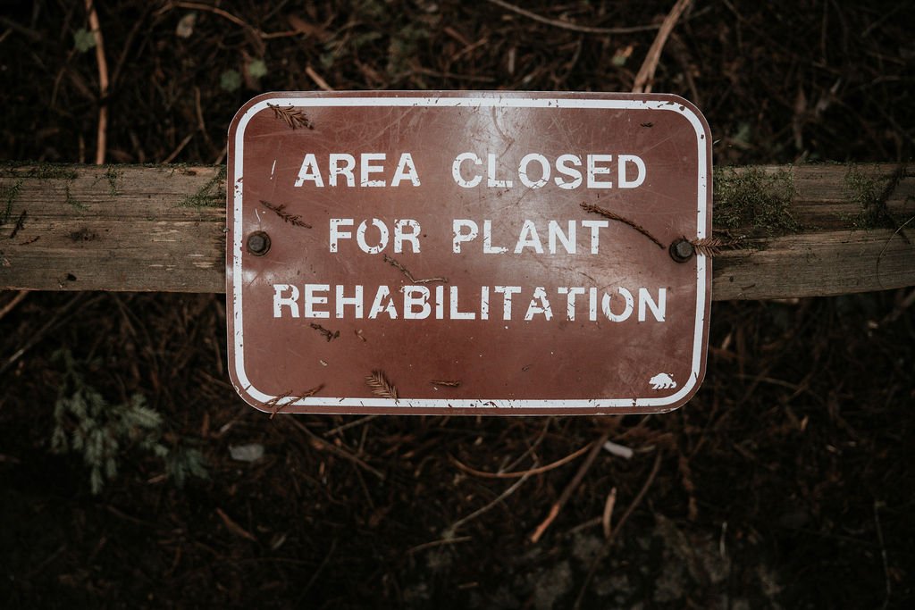 A brown and white sign stating "Area Closed for Plant Rehabilitation" attached to a wooden fence, with dark soil and some foliage underneath.
