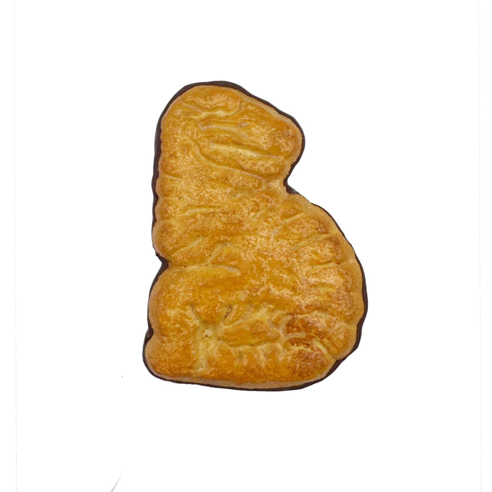 Dinosaurus T-Rex