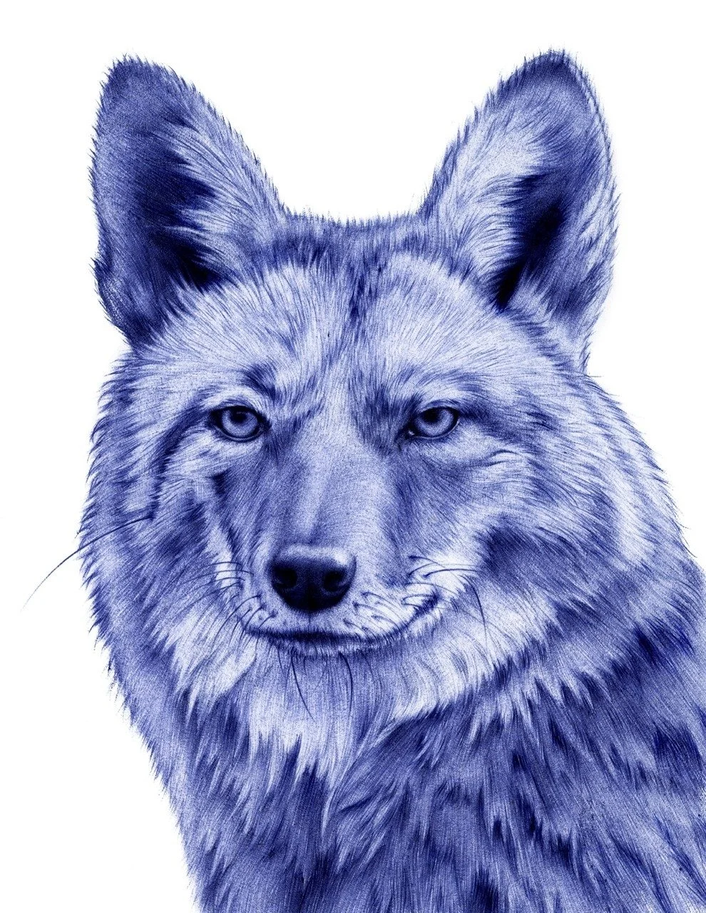 tumblr_n0hcsltmrI1qj1n4jo1_1280.jpg